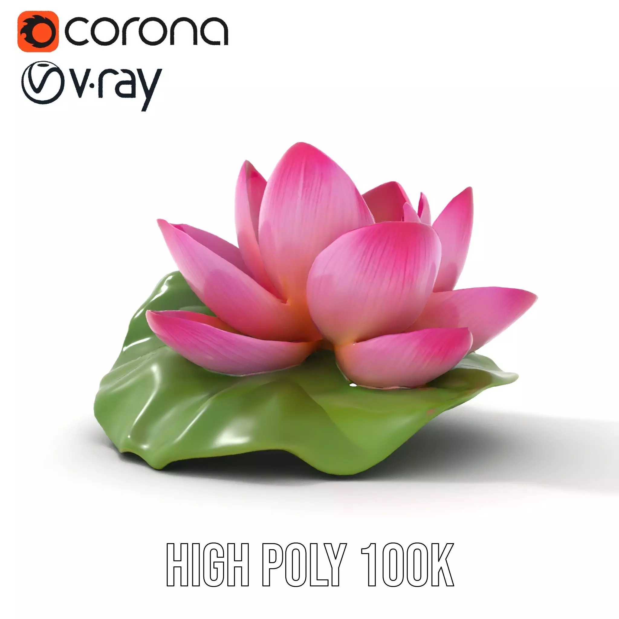 Elegant Lotus Blossom model pack Low-poly 3D model_28