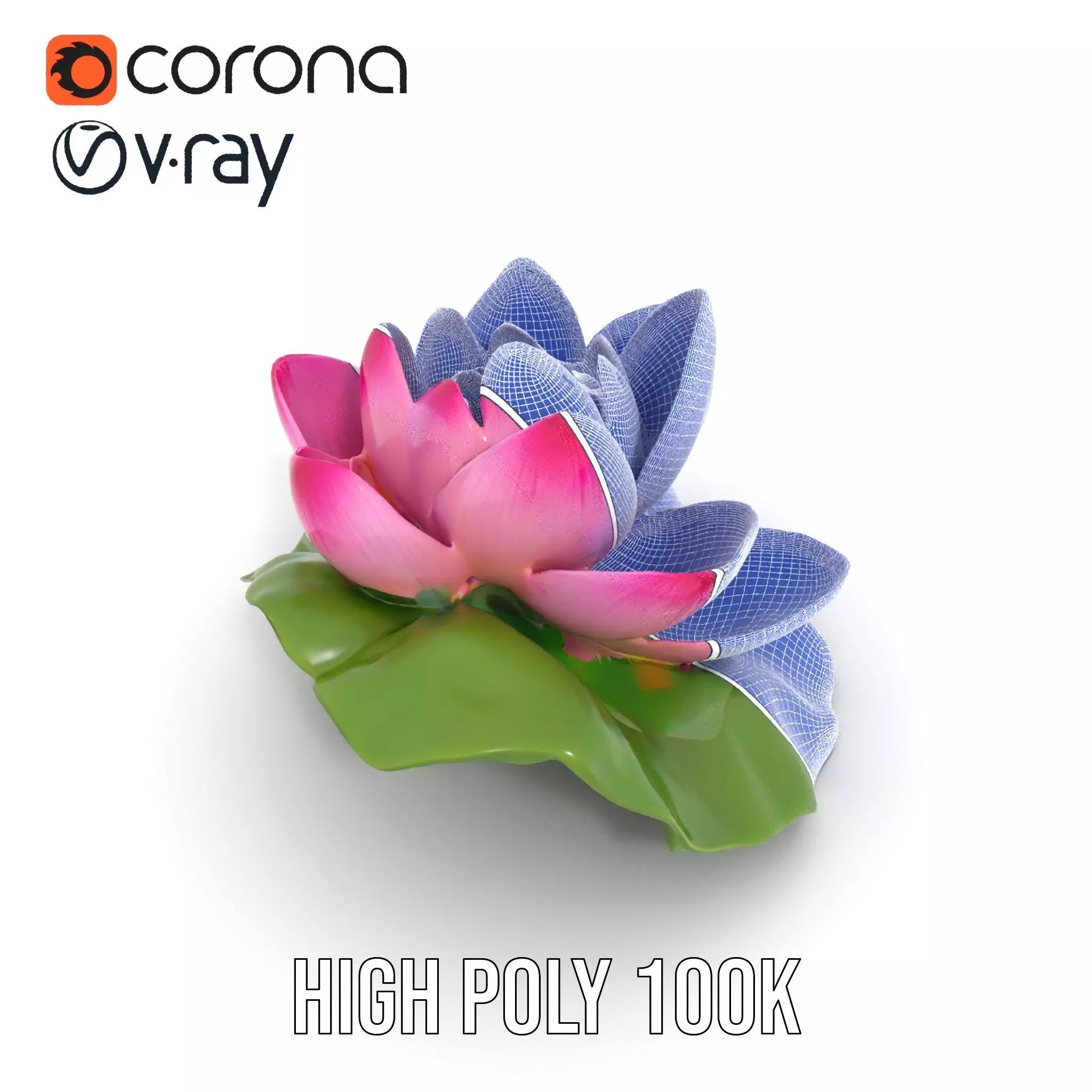 Elegant Lotus Blossom model pack Low-poly 3D model_32