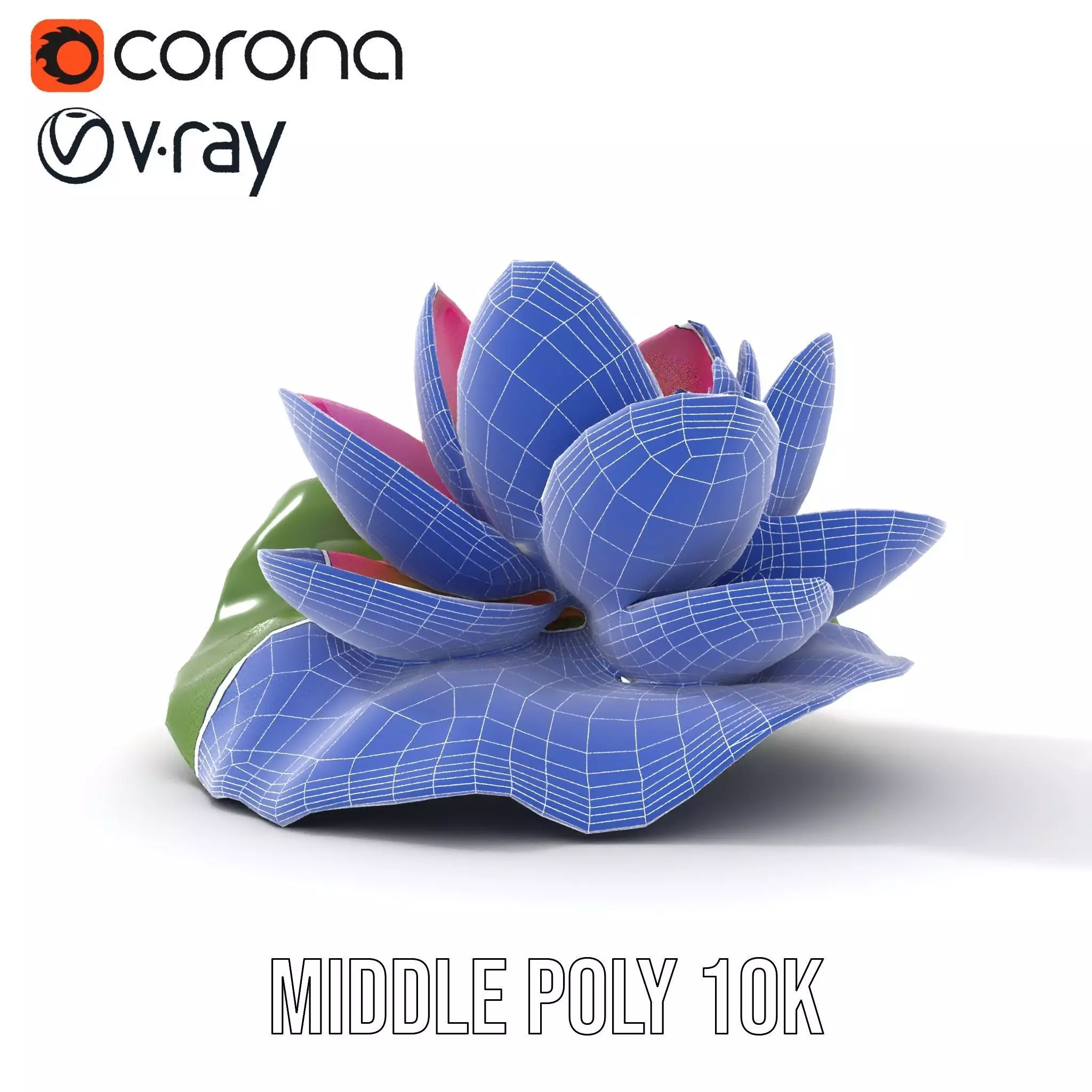 Elegant Lotus Blossom model pack Low-poly 3D model_23