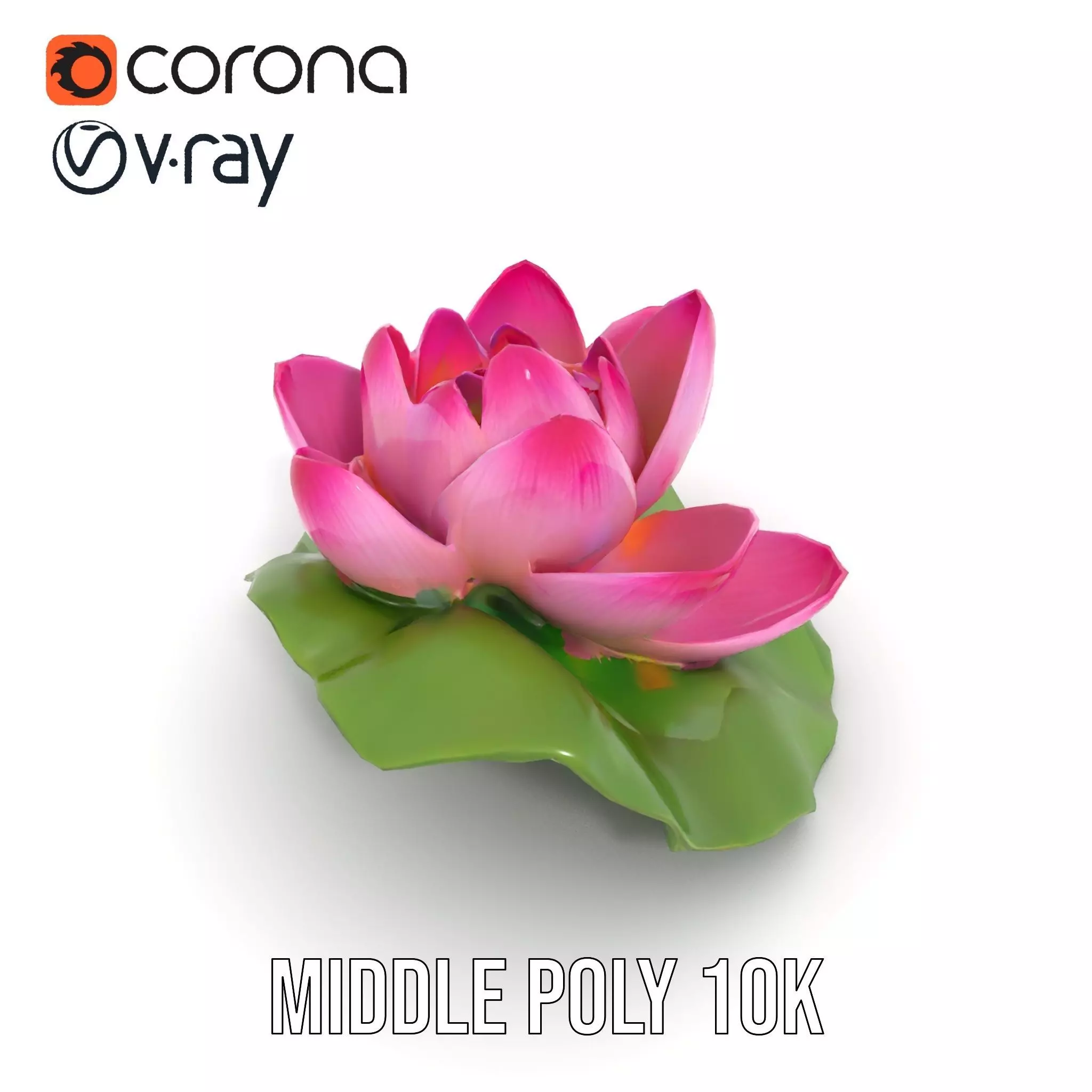Elegant Lotus Blossom model pack Low-poly 3D model_15