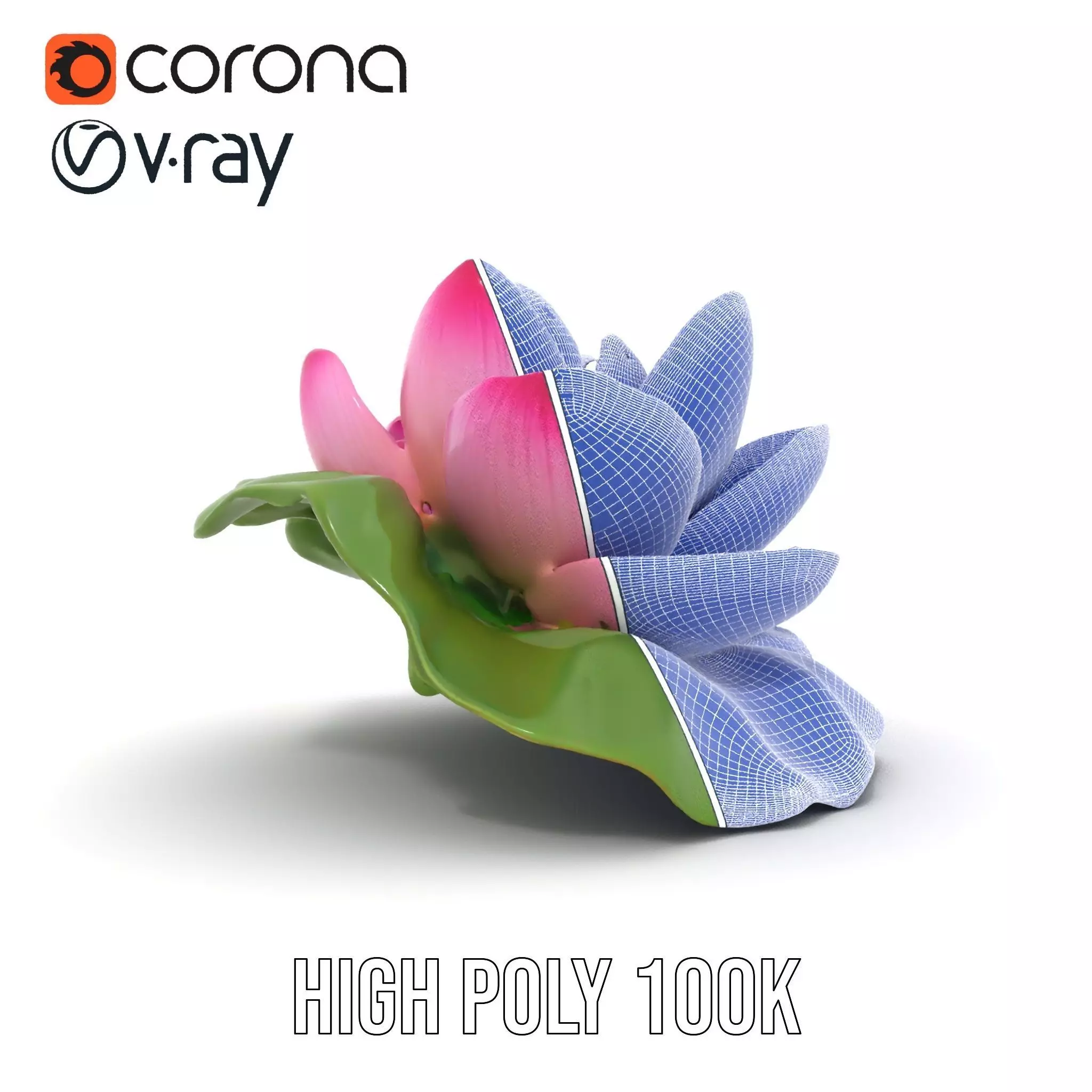 Elegant Lotus Blossom model pack Low-poly 3D model_34