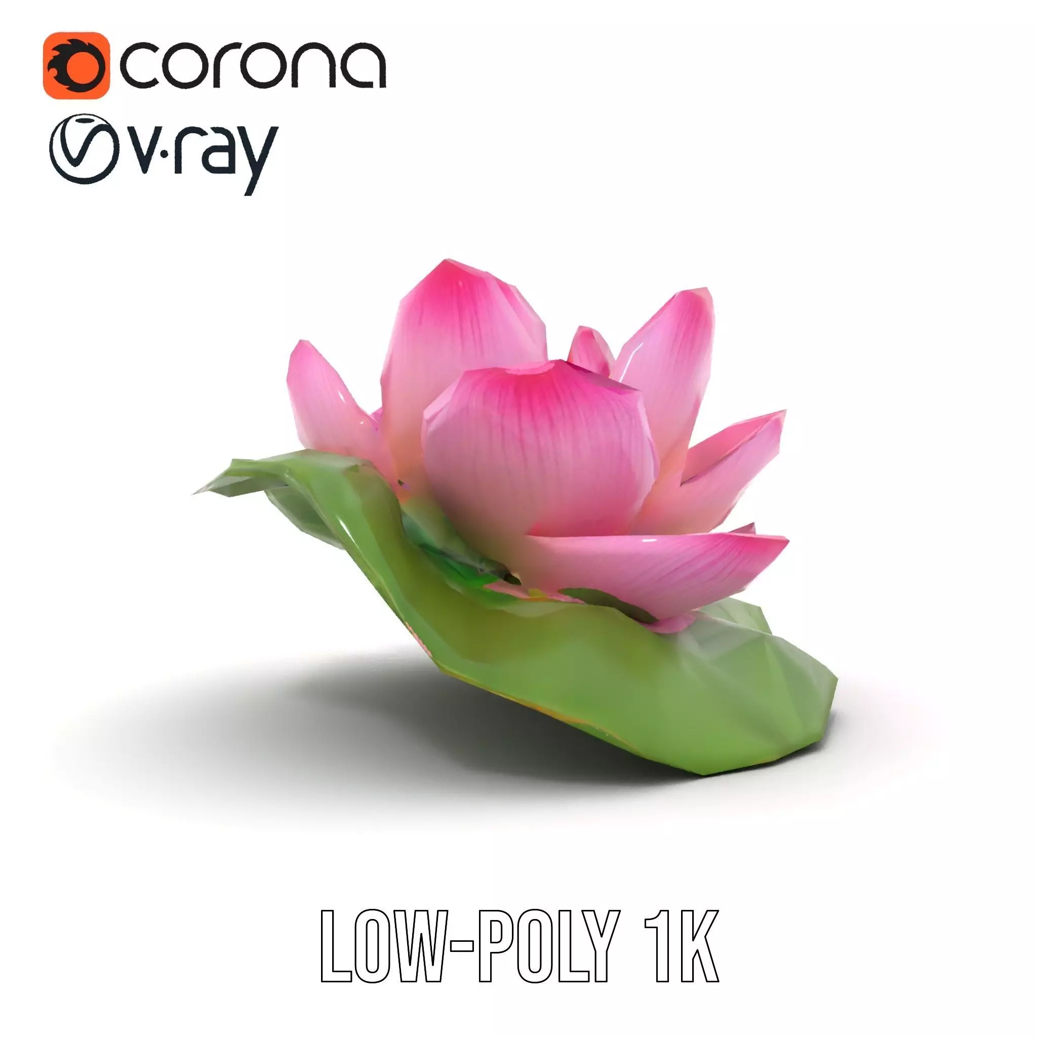 Elegant Lotus Blossom model pack Low-poly 3D model_14