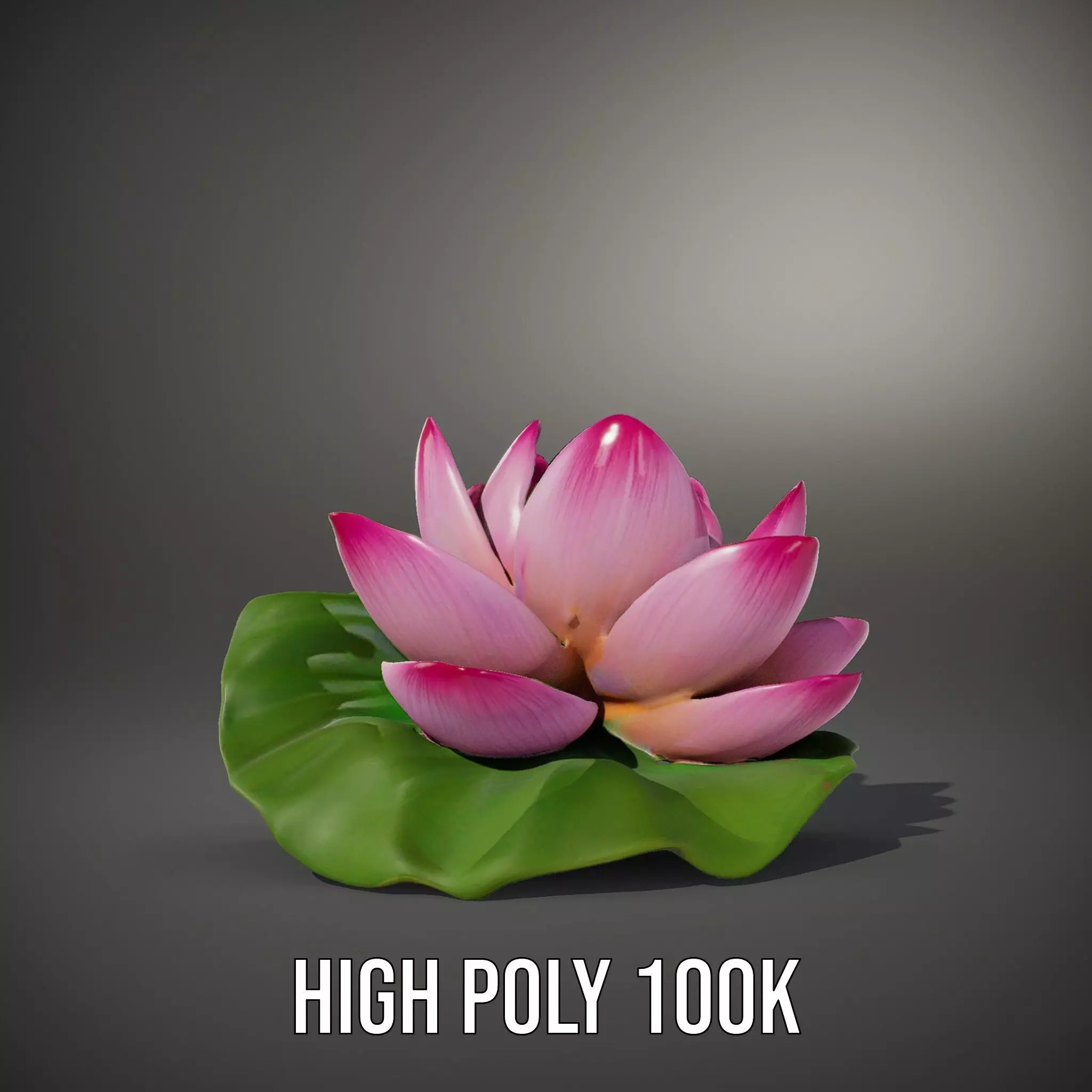 Elegant Lotus Blossom model pack Low-poly 3D model_10