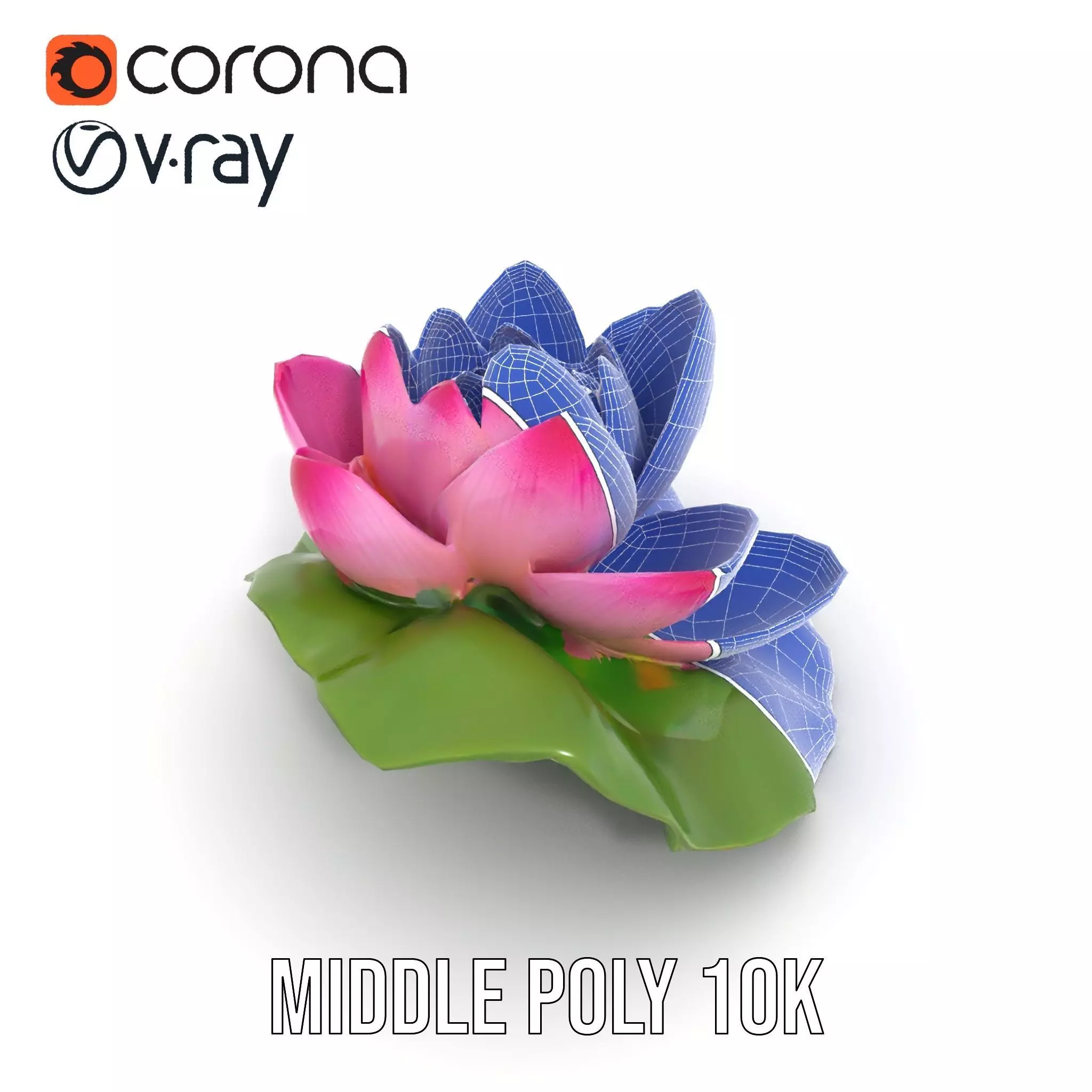 Elegant Lotus Blossom model pack Low-poly 3D model_29