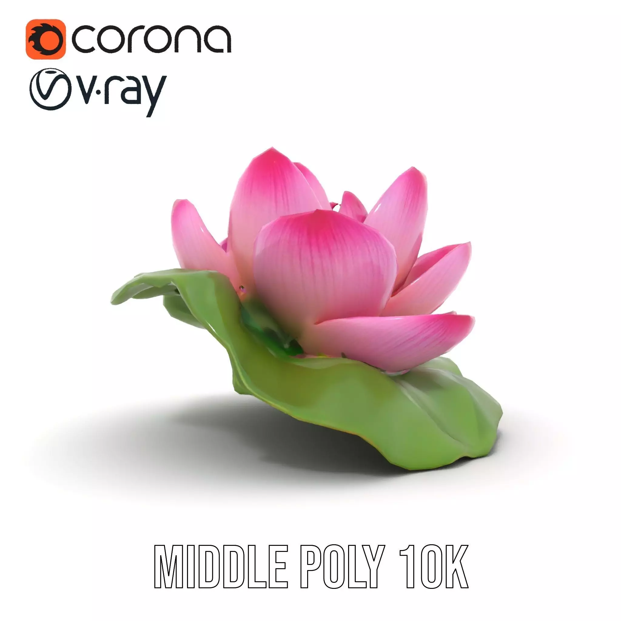 Elegant Lotus Blossom model pack Low-poly 3D model_13