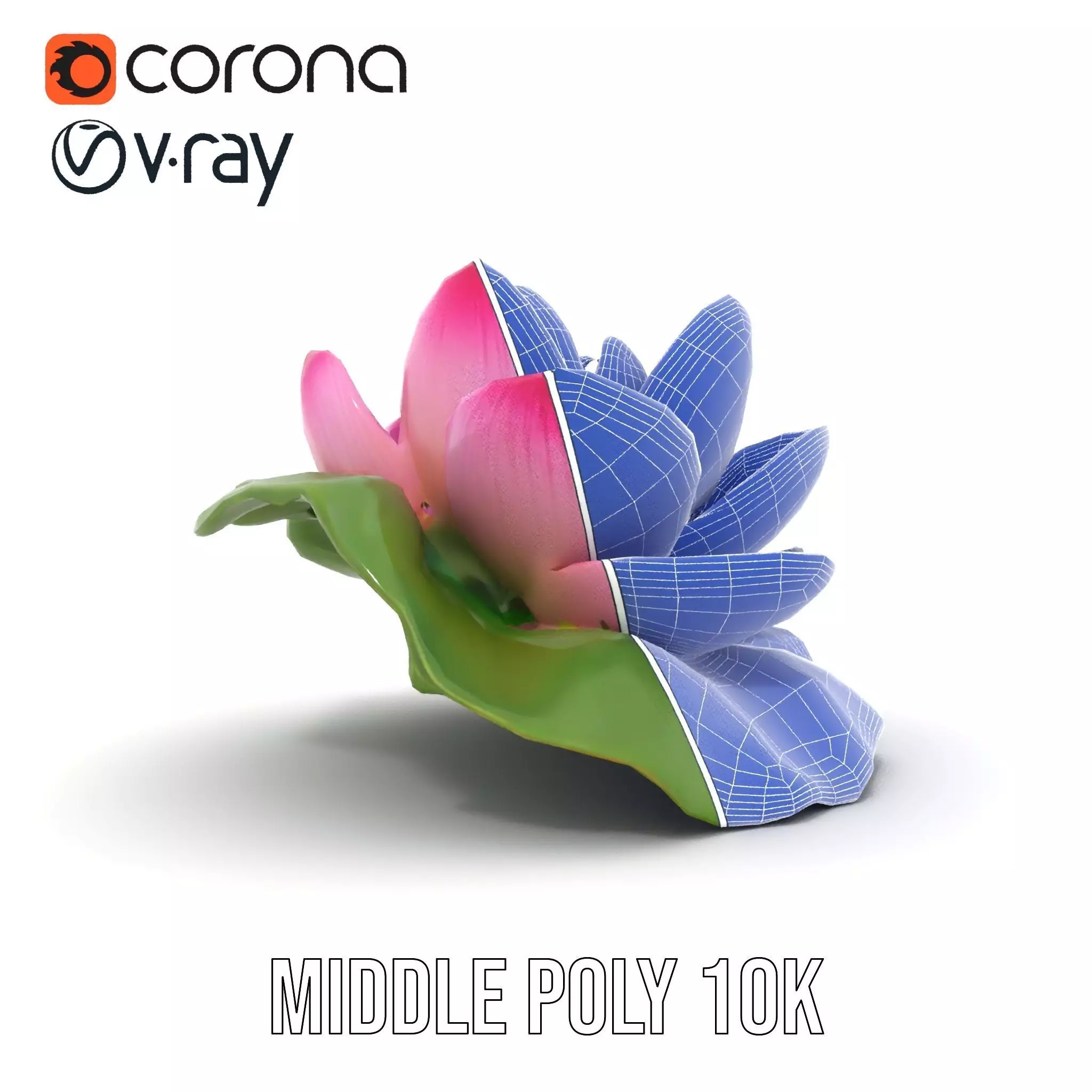 Elegant Lotus Blossom model pack Low-poly 3D model_26
