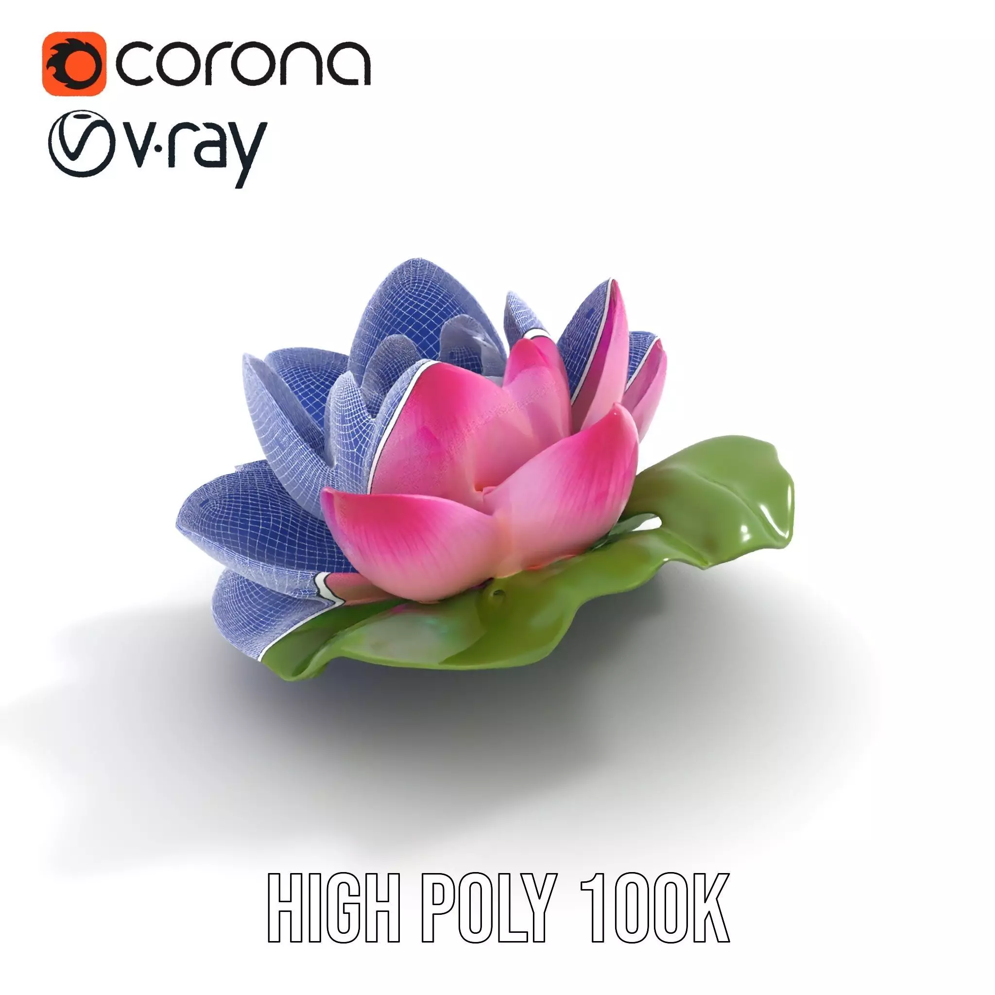 Elegant Lotus Blossom model pack Low-poly 3D model_22