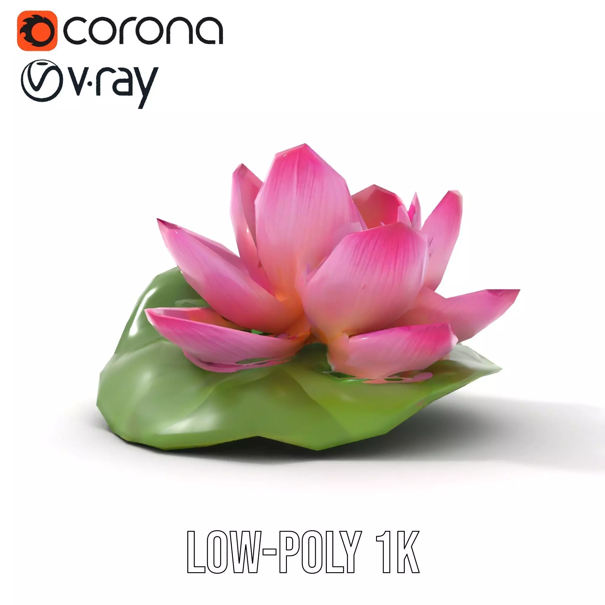Elegant Lotus Blossom model pack Low-poly 3D model_27