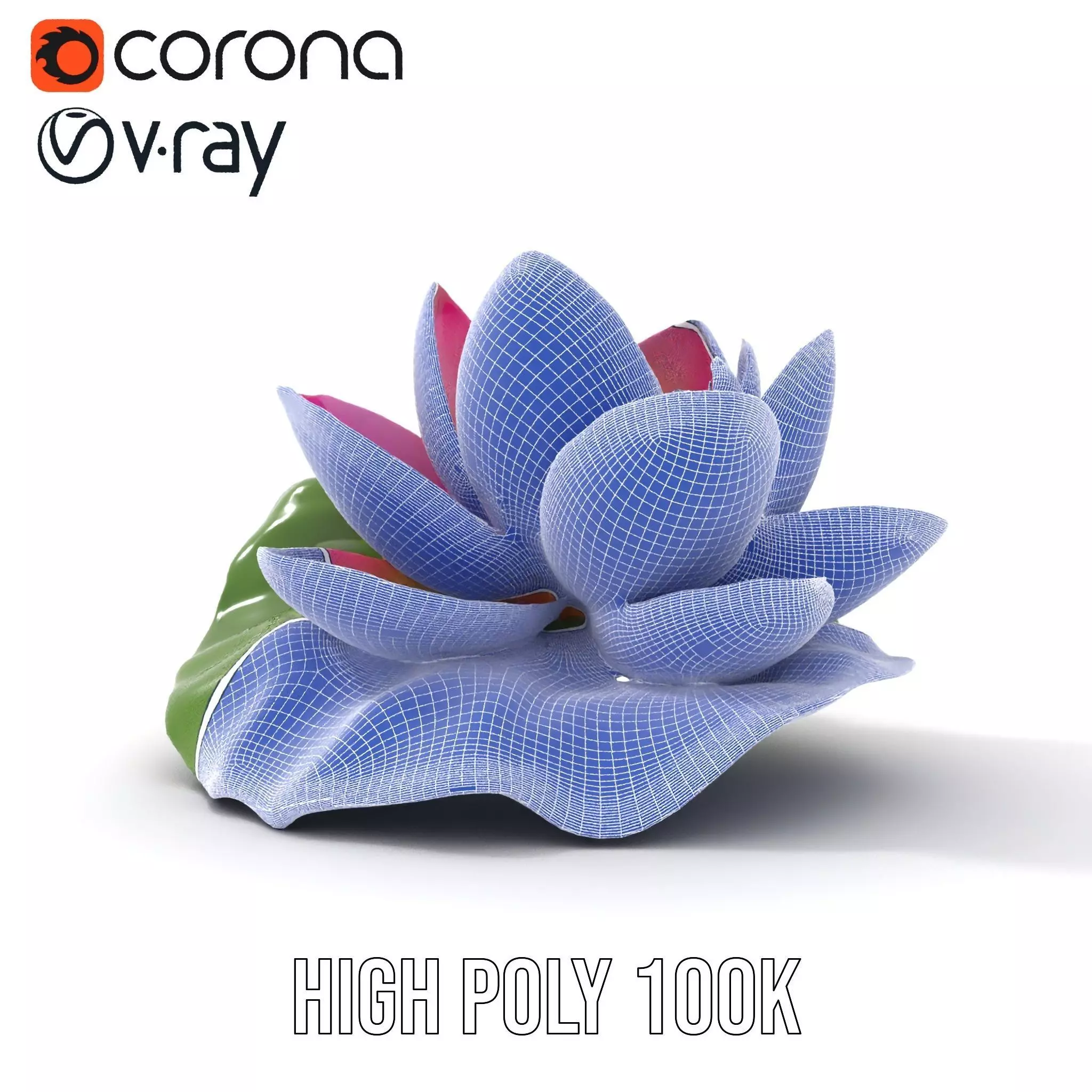 Elegant Lotus Blossom model pack Low-poly 3D model_33