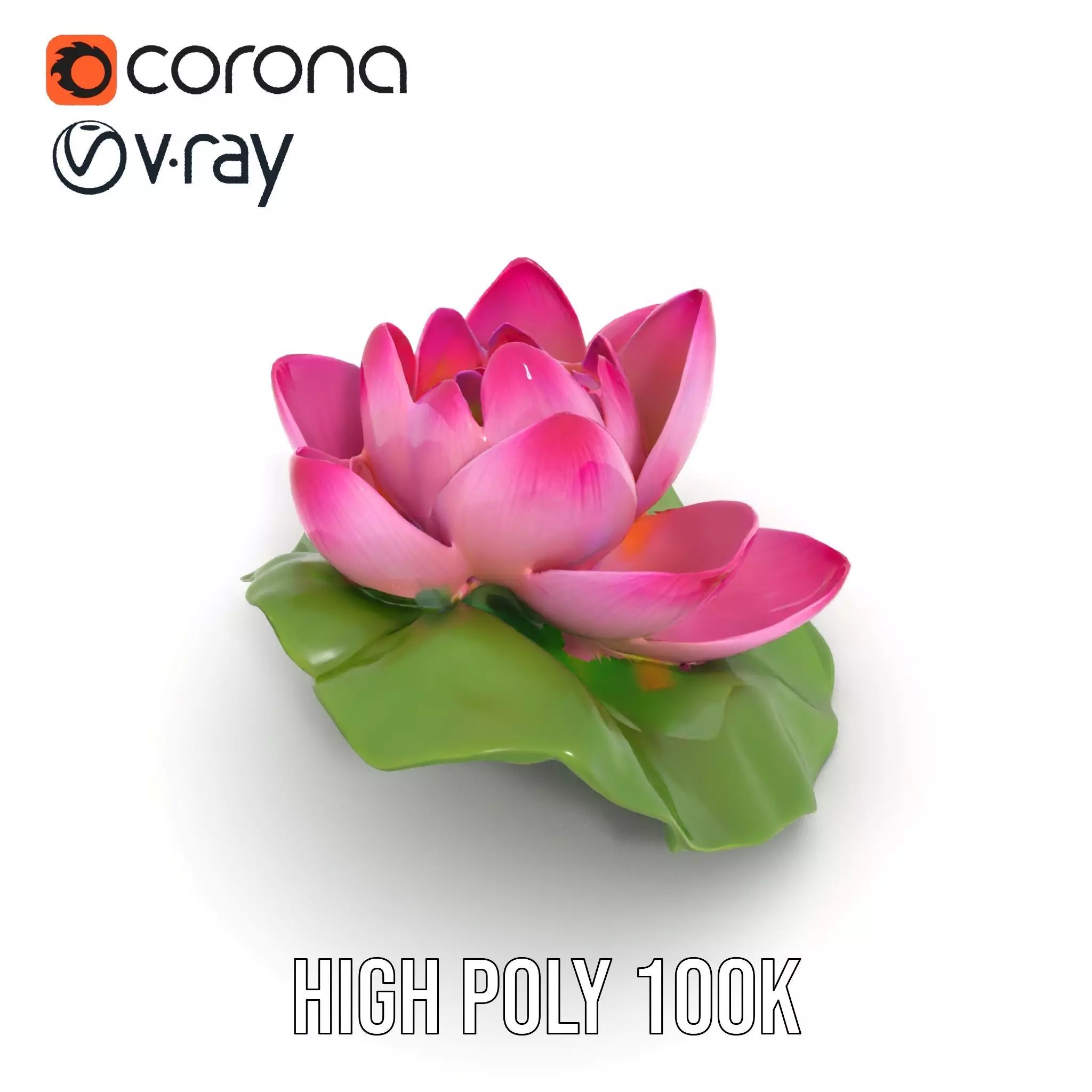 Elegant Lotus Blossom model pack Low-poly 3D model_31