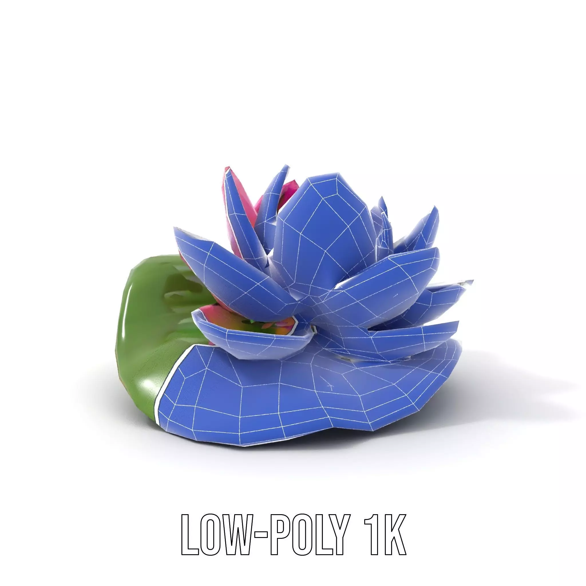 Elegant Lotus Blossom model pack Low-poly 3D model_12