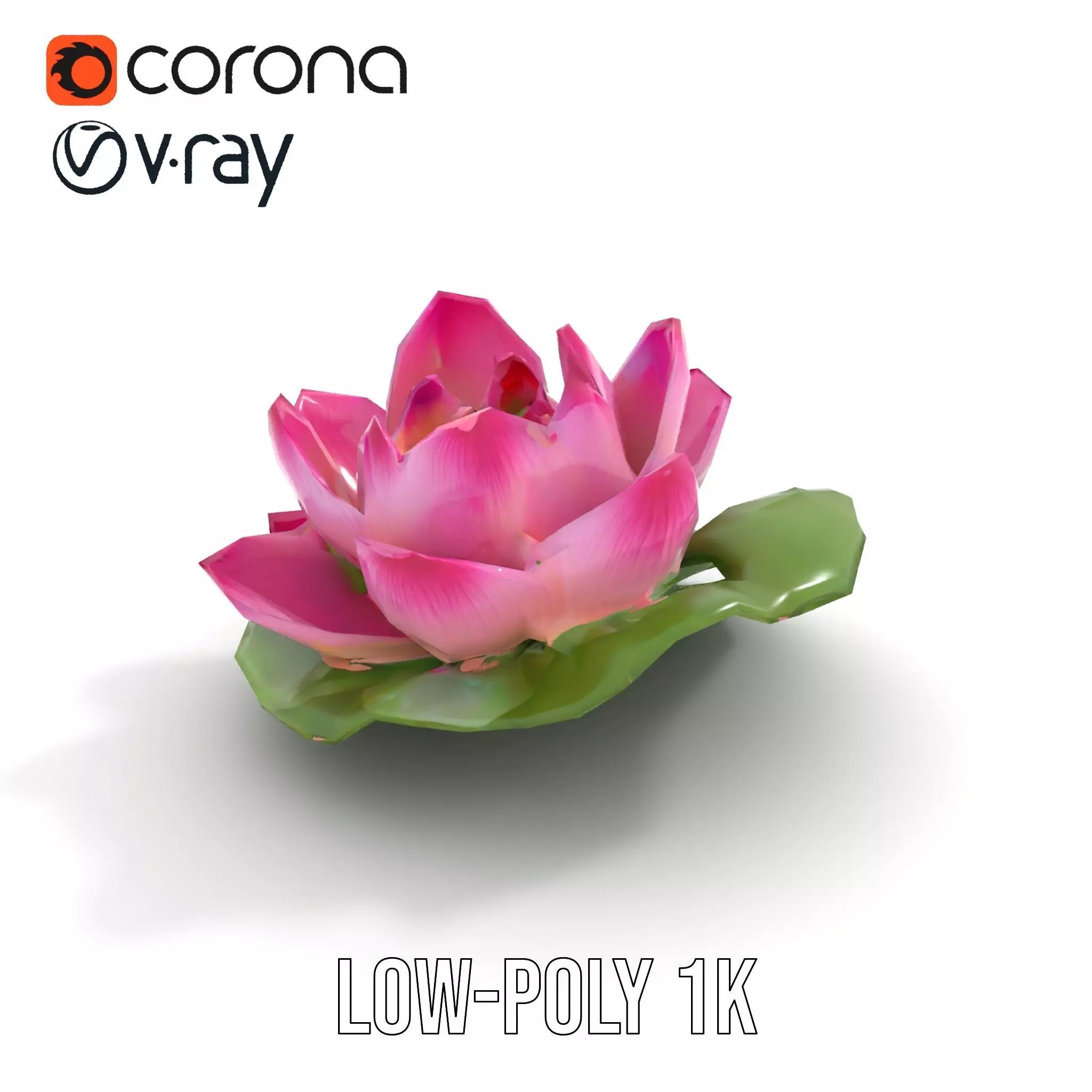 Elegant Lotus Blossom model pack Low-poly 3D model_7