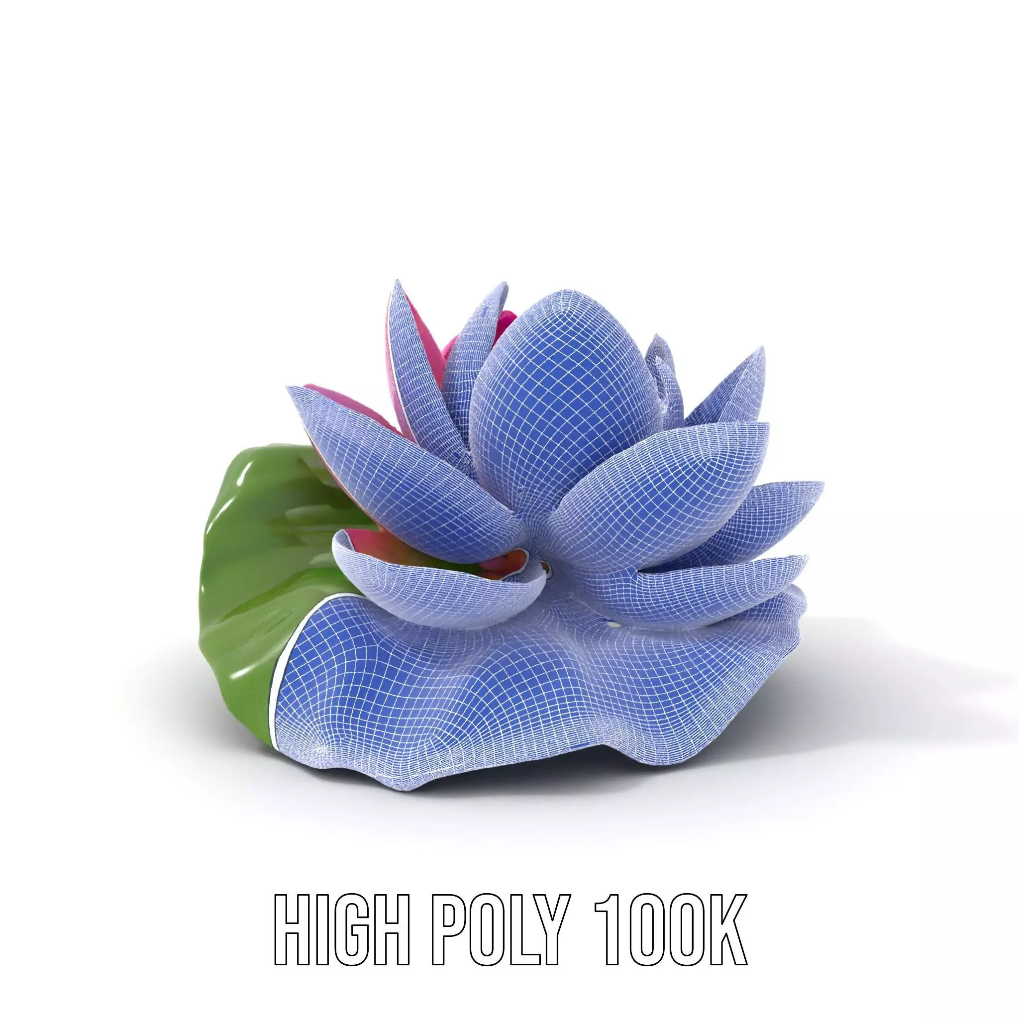 Elegant Lotus Blossom model pack Low-poly 3D model_4
