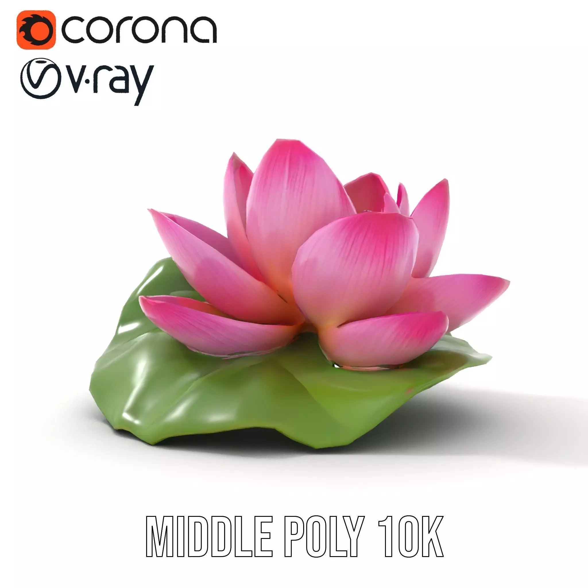 Elegant Lotus Blossom model pack Low-poly 3D model_18