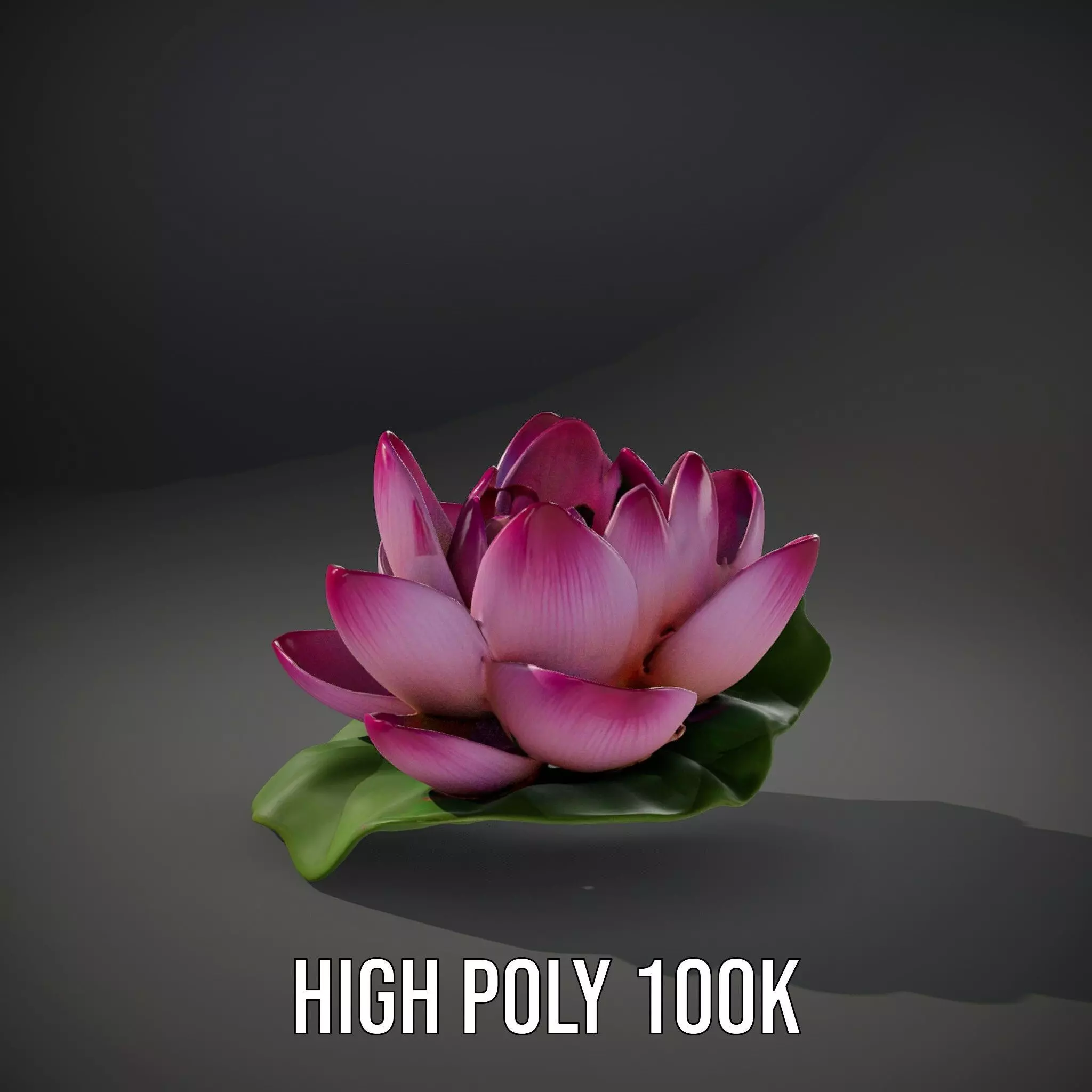 Elegant Lotus Blossom model pack Low-poly 3D model_8