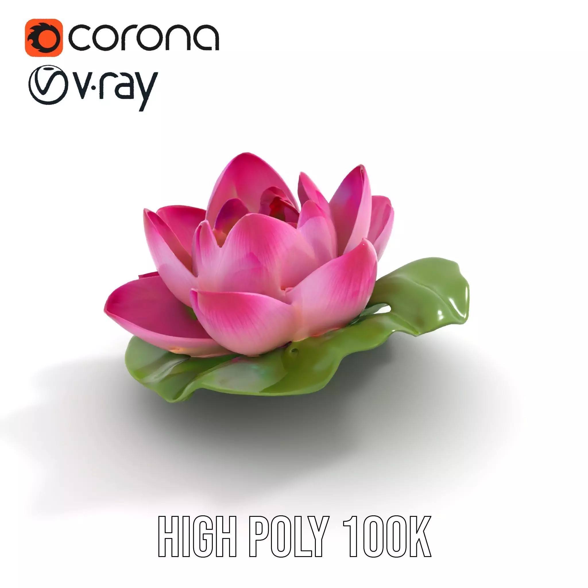 Elegant Lotus Blossom model pack Low-poly 3D model_17