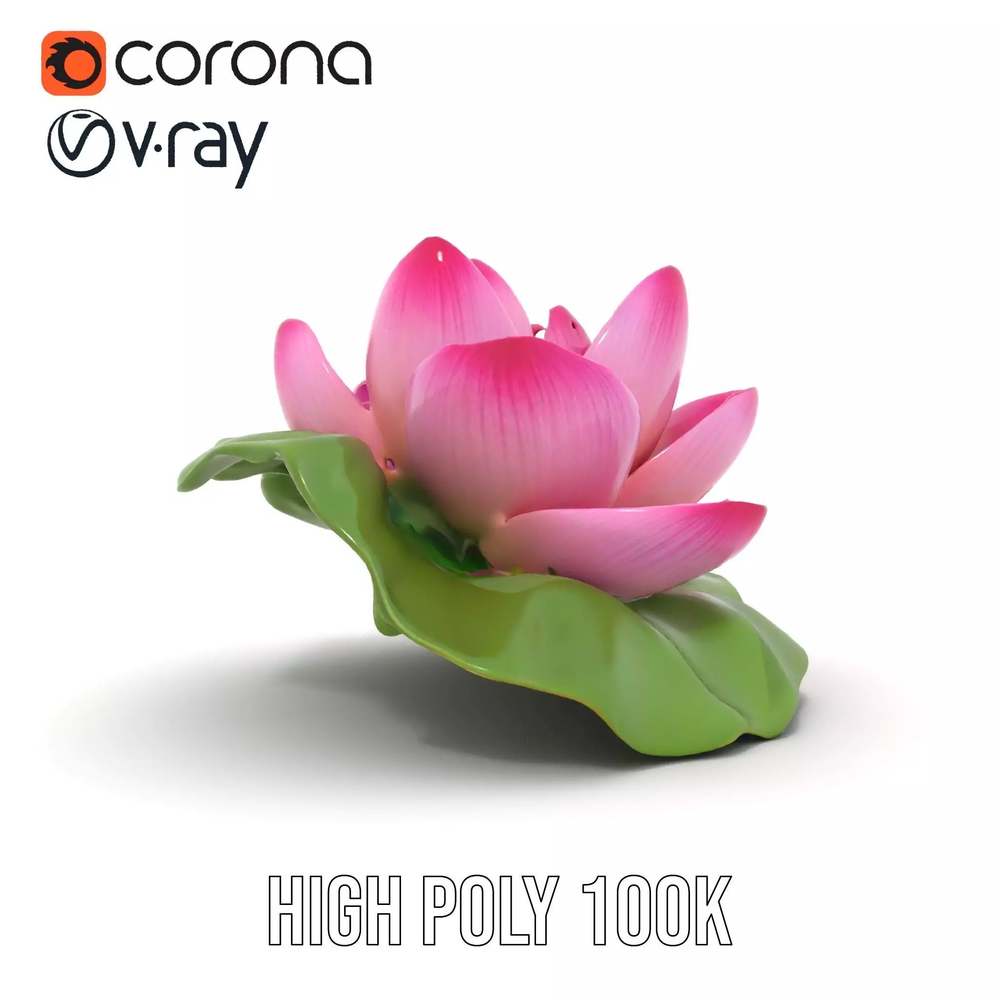 Elegant Lotus Blossom model pack Low-poly 3D model_25