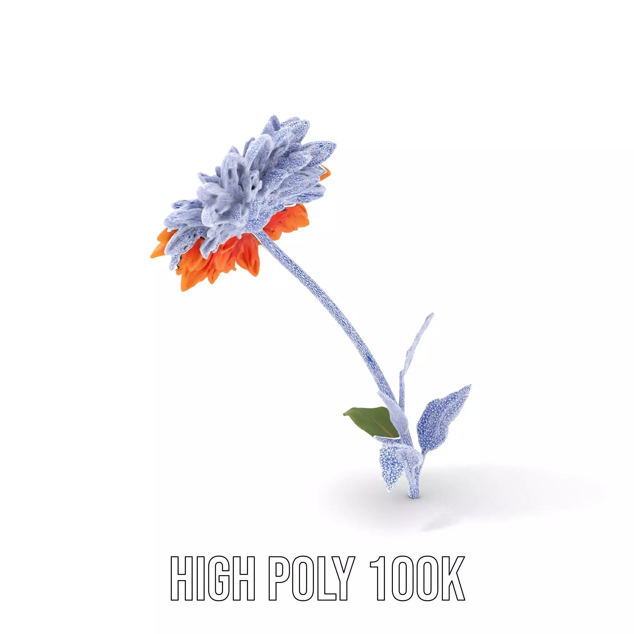 Sunny Dahlia model pack Low-poly 3D model_4