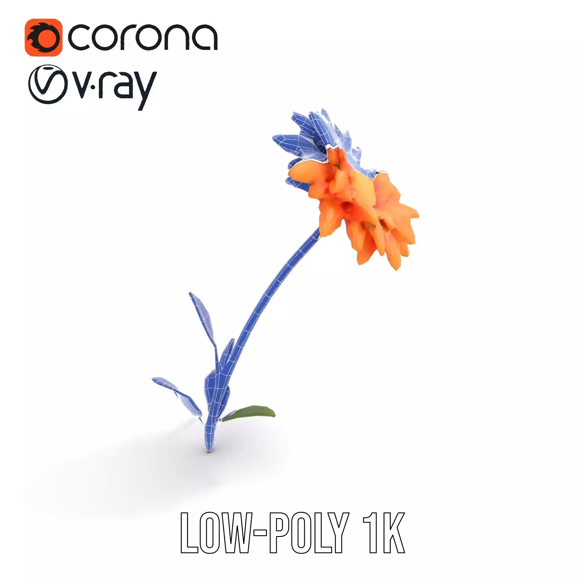 Sunny Dahlia model pack Low-poly 3D model_9