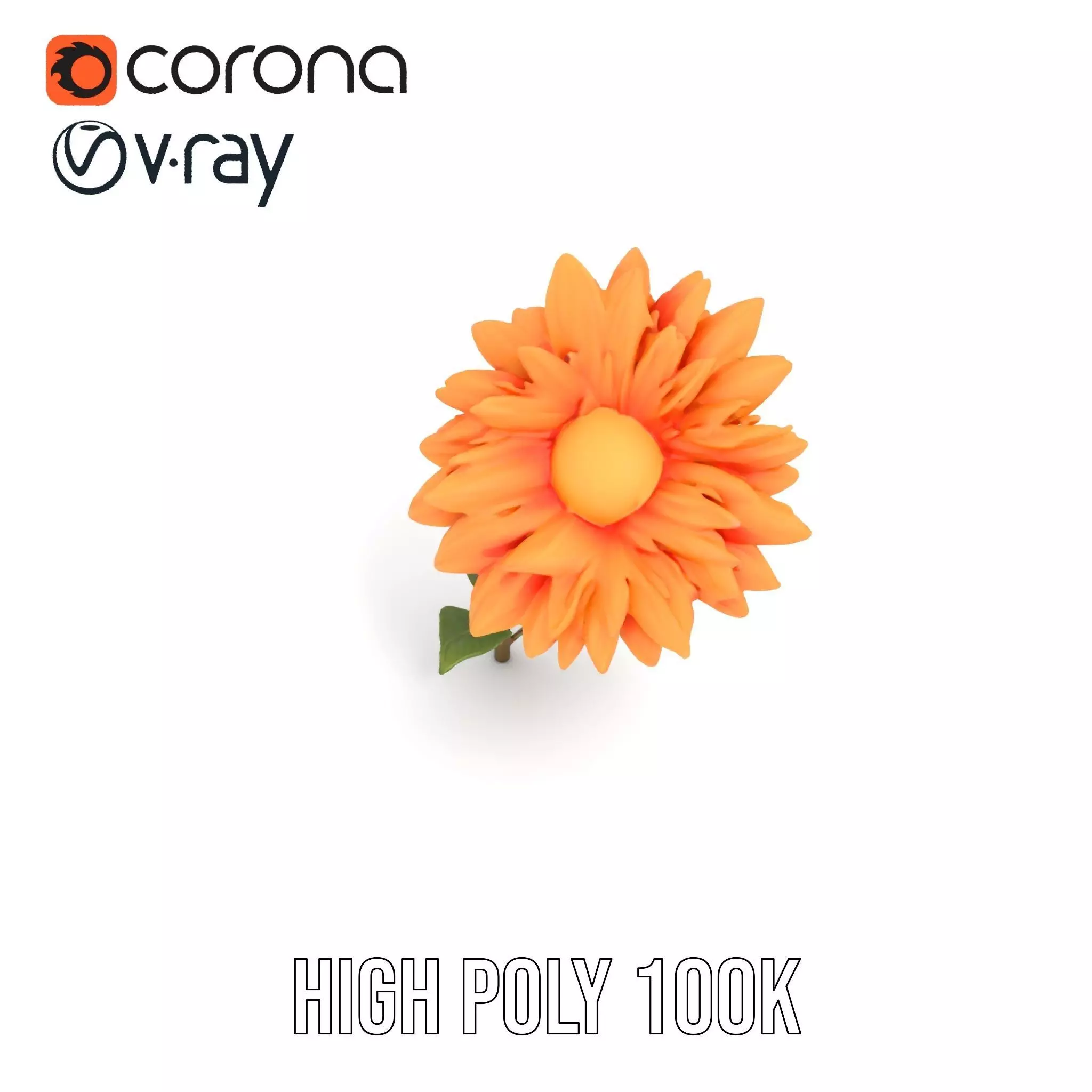 Sunny Dahlia model pack Low-poly 3D model_20