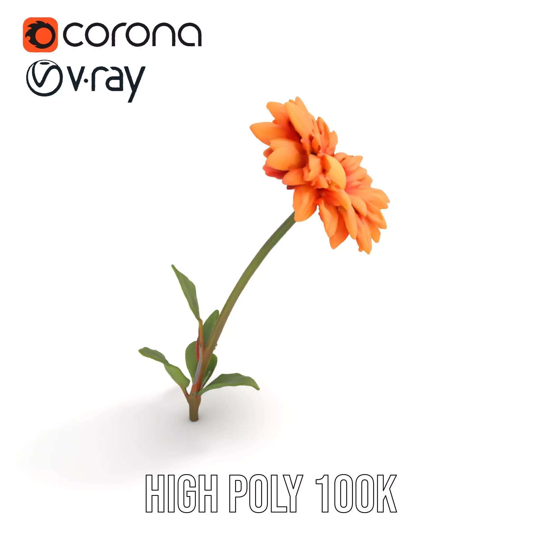 Sunny Dahlia model pack Low-poly 3D model_23