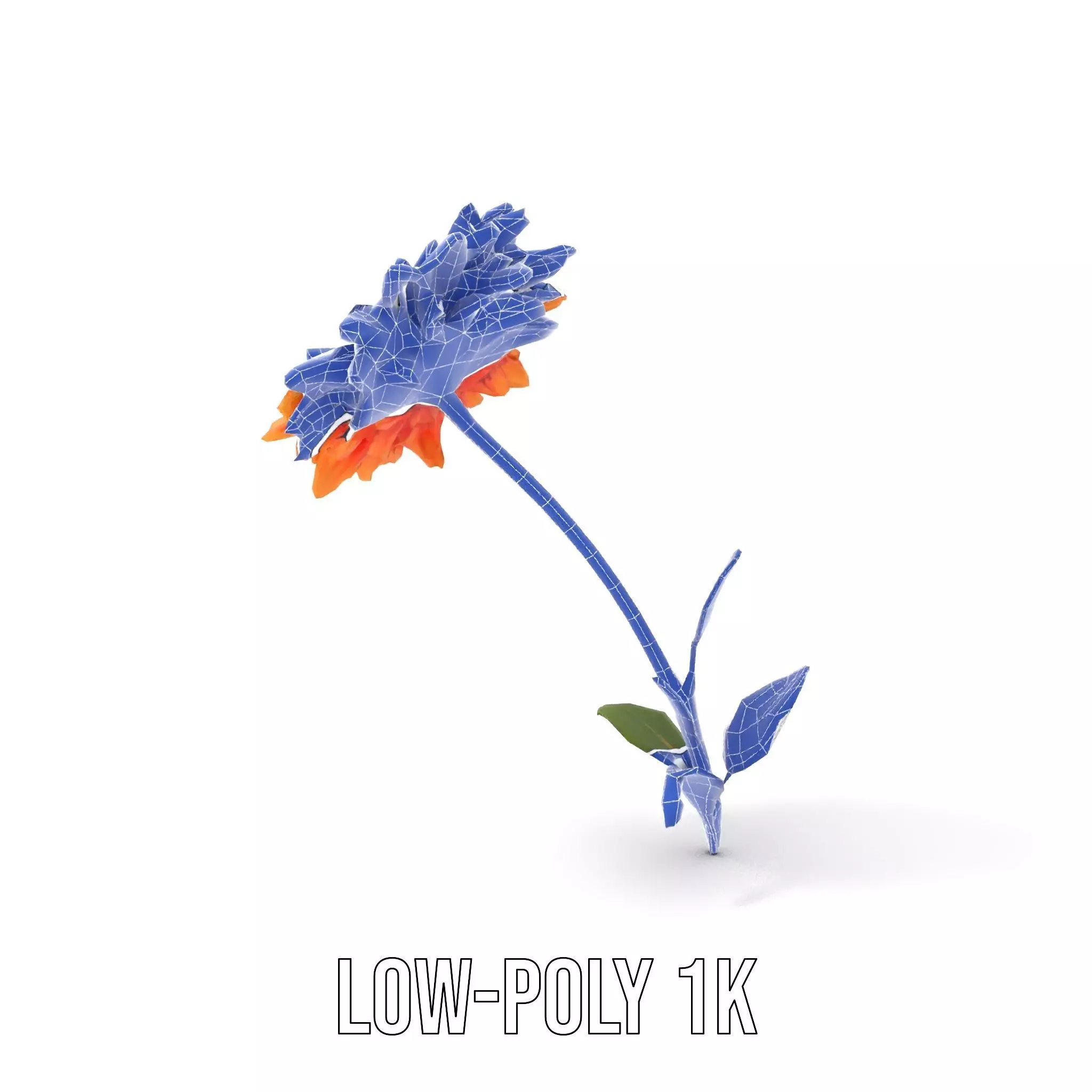 Sunny Dahlia model pack Low-poly 3D model_16