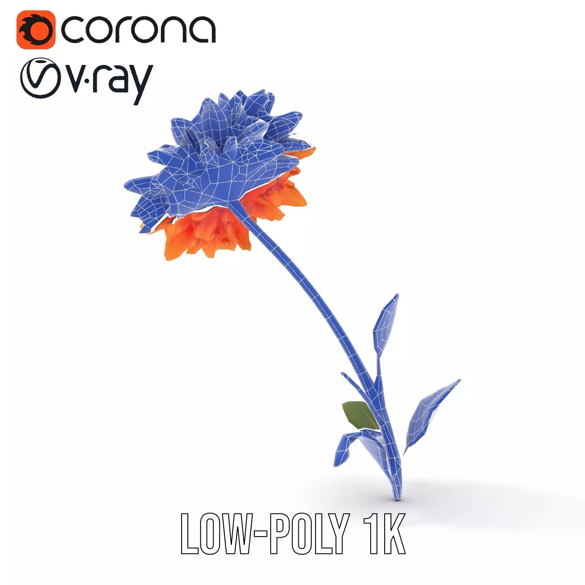 Sunny Dahlia model pack Low-poly 3D model_28