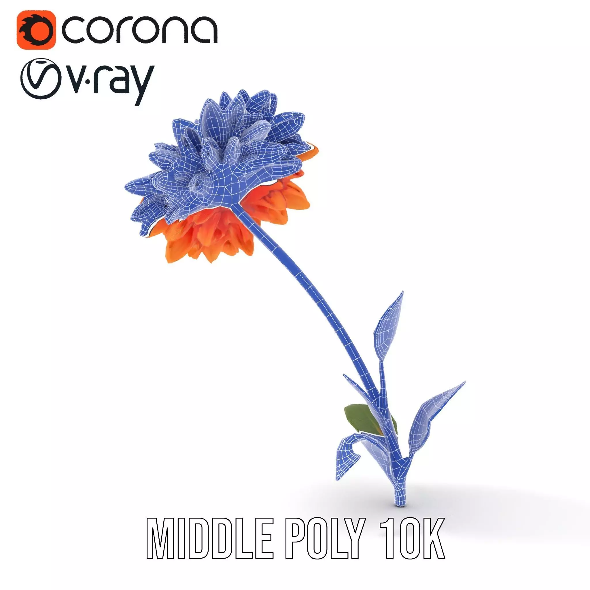 Sunny Dahlia model pack Low-poly 3D model_24