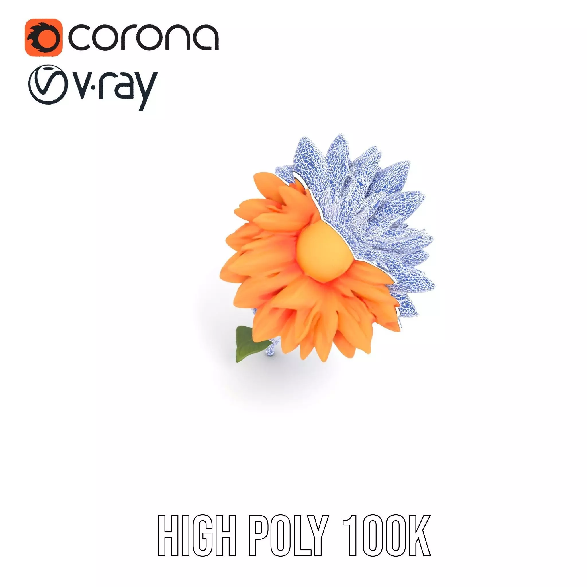 Sunny Dahlia model pack Low-poly 3D model_32