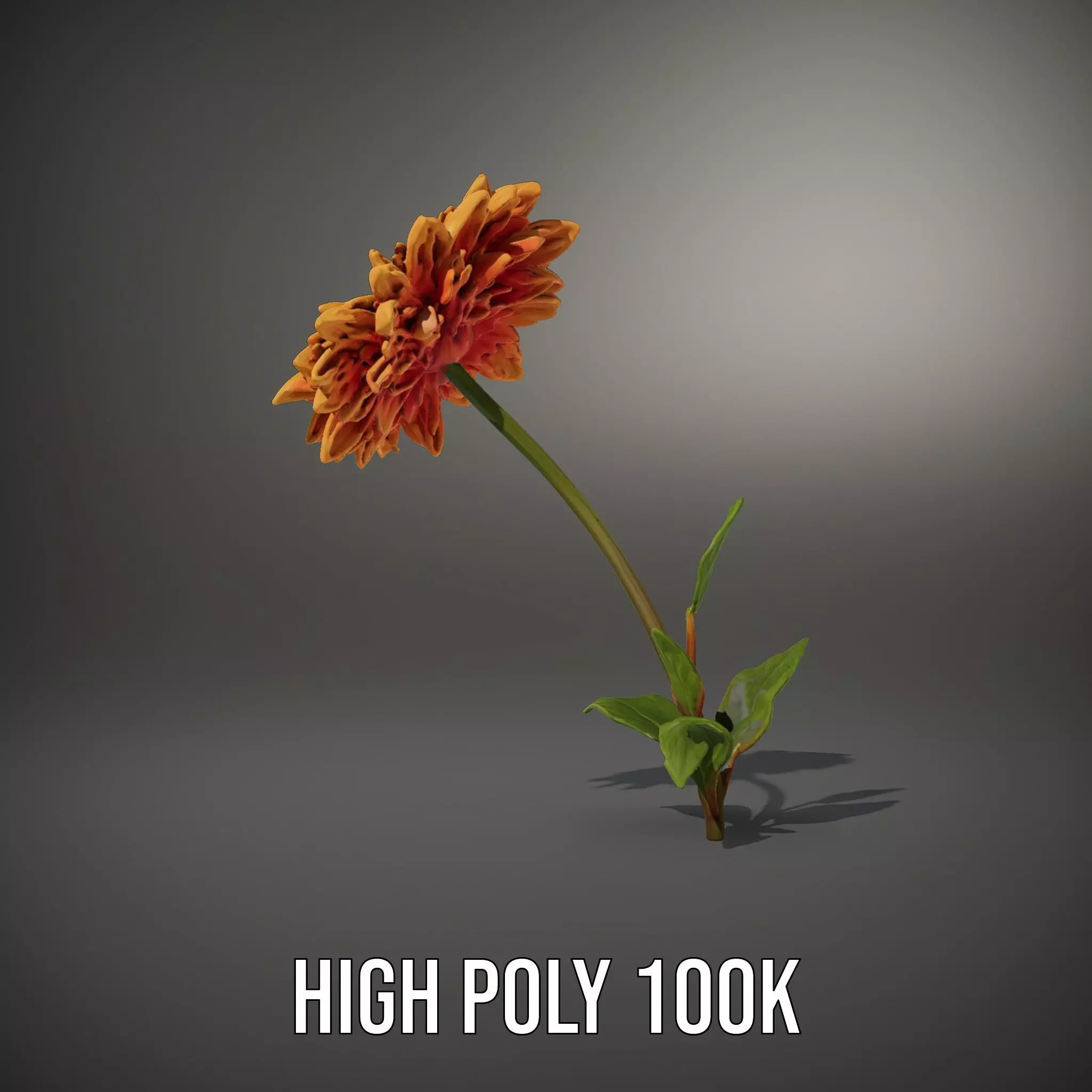 Sunny Dahlia model pack Low-poly 3D model_8