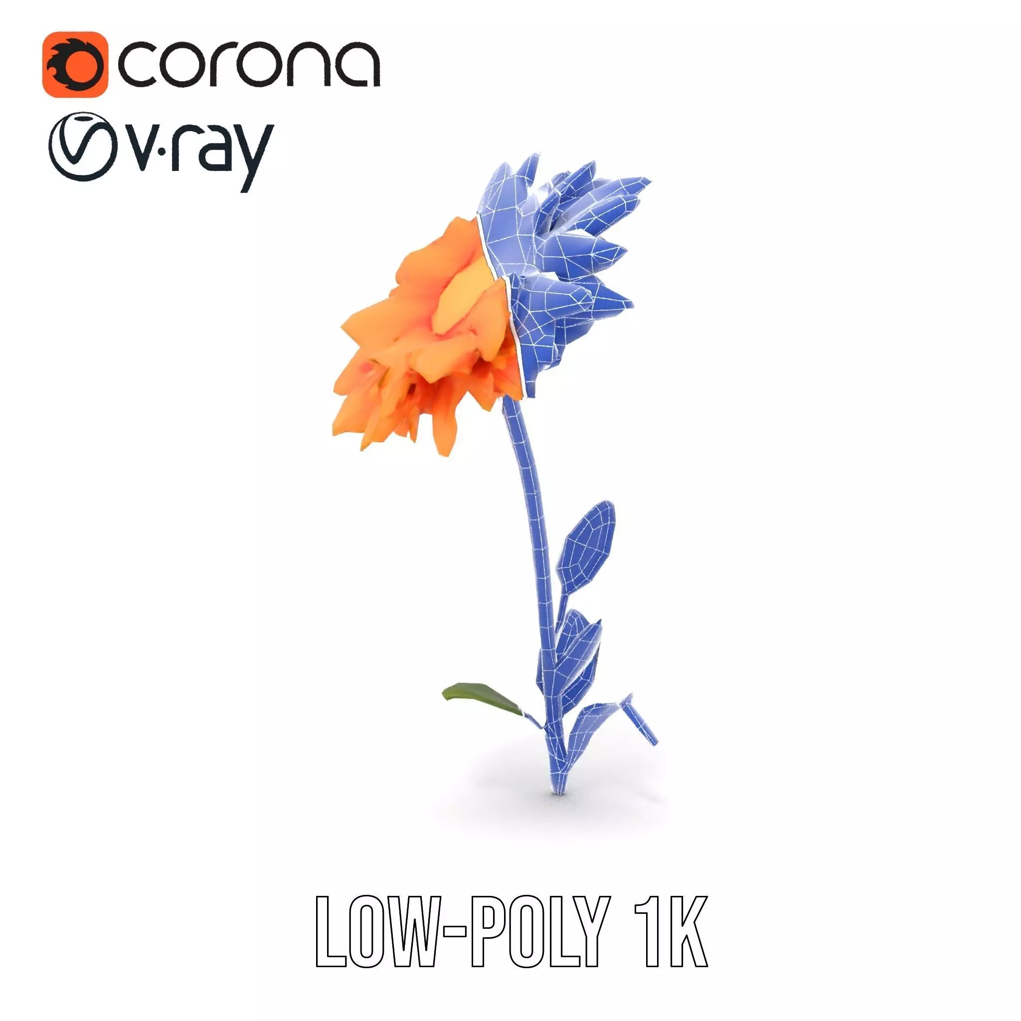 Sunny Dahlia model pack Low-poly 3D model_30