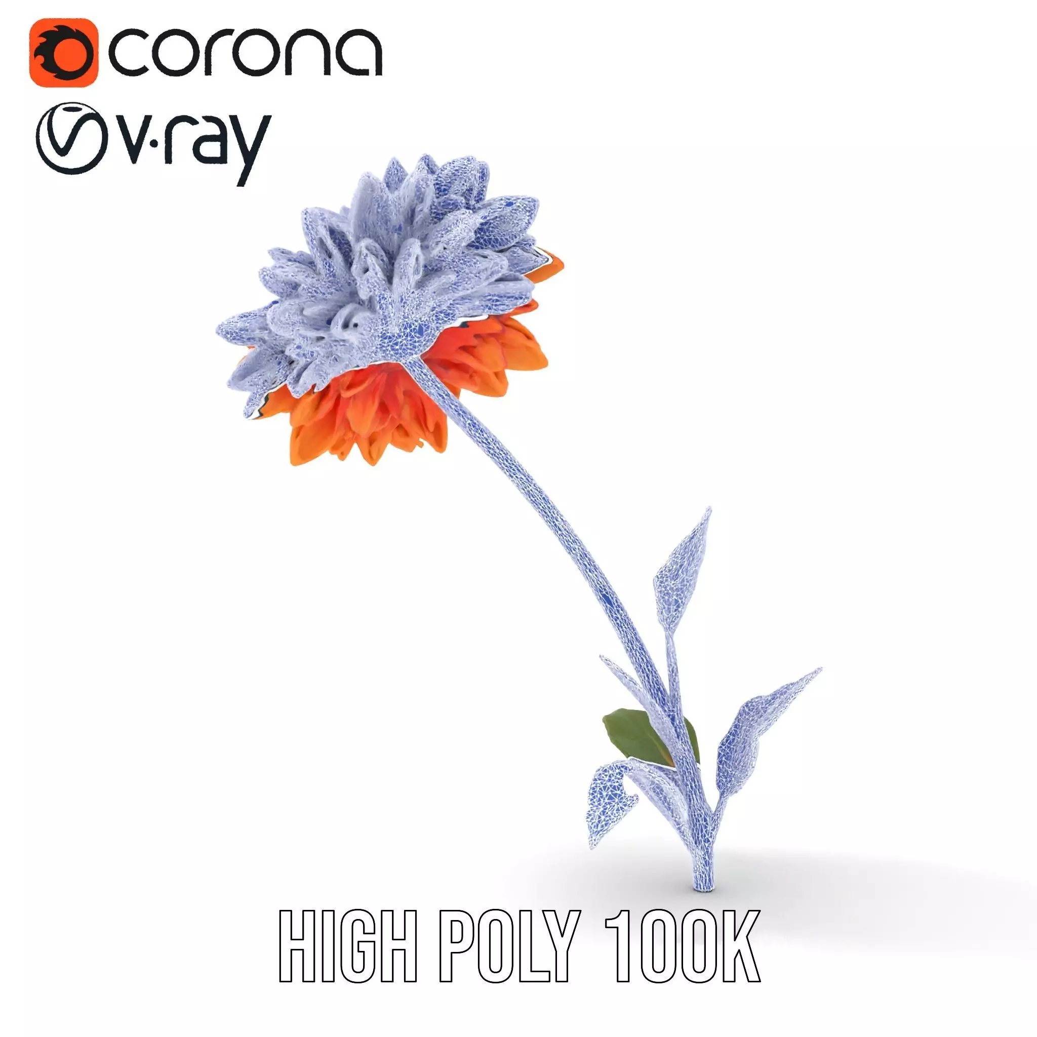 Sunny Dahlia model pack Low-poly 3D model_31