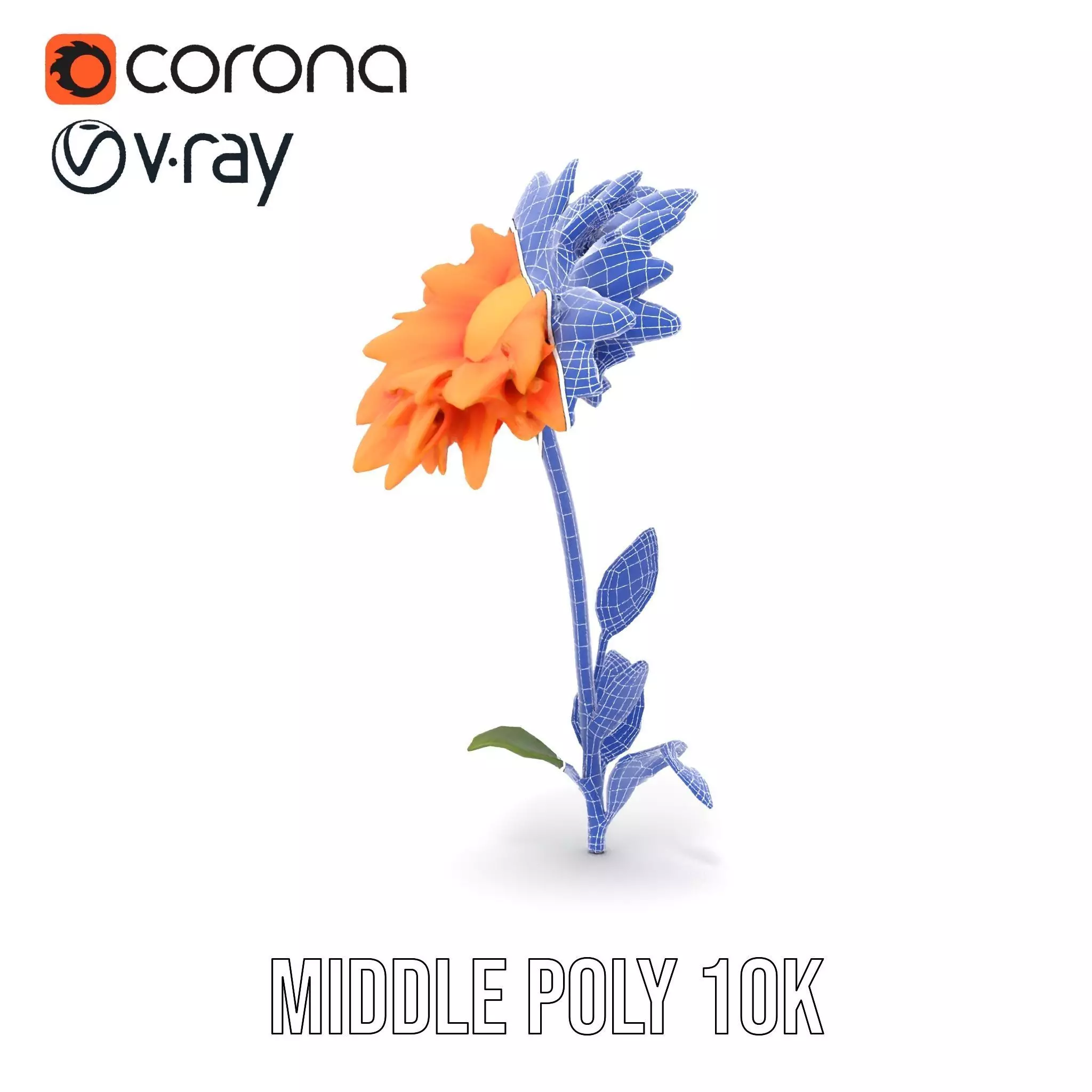 Sunny Dahlia model pack Low-poly 3D model_21