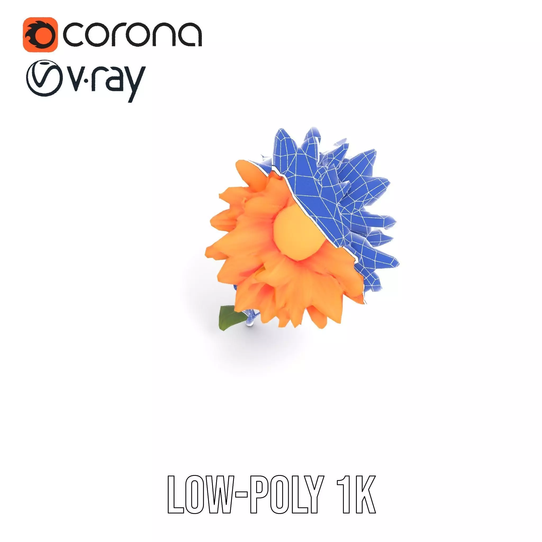 Sunny Dahlia model pack Low-poly 3D model_12