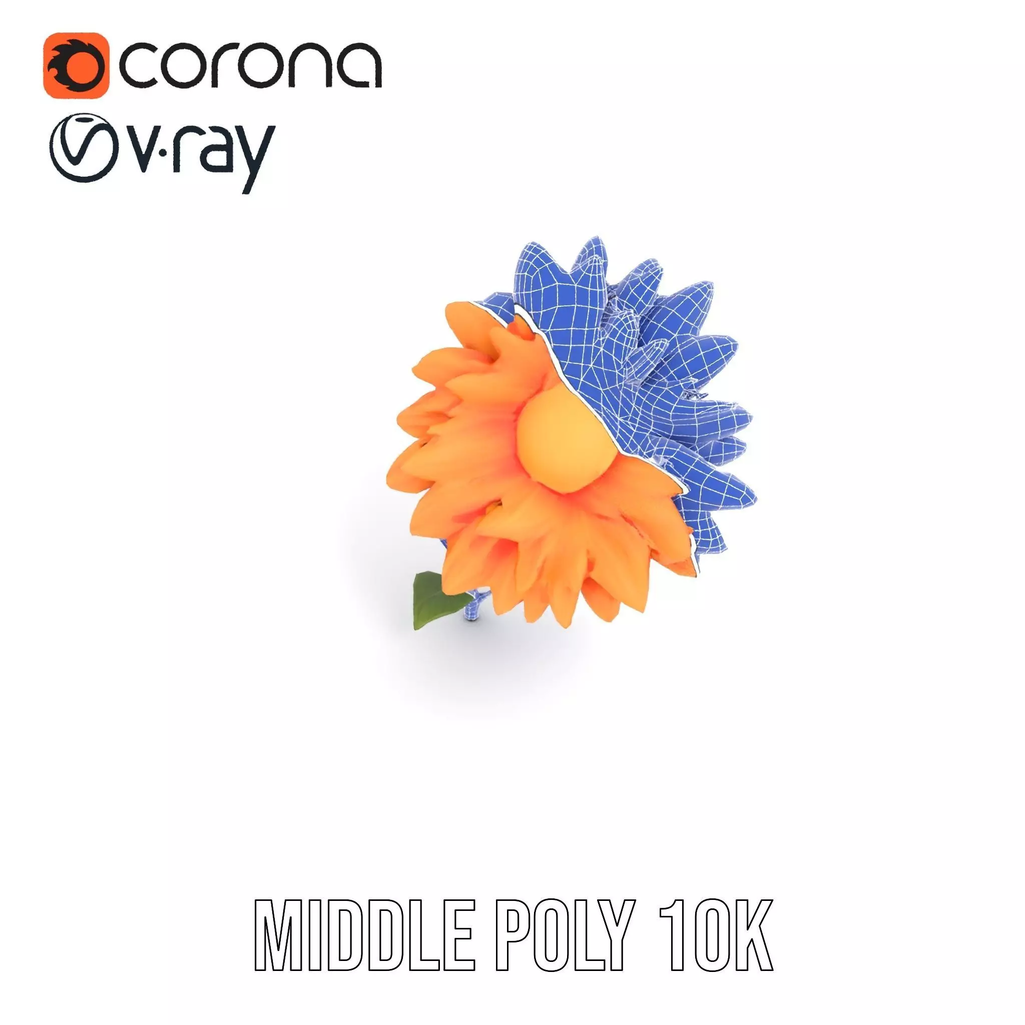 Sunny Dahlia model pack Low-poly 3D model_29