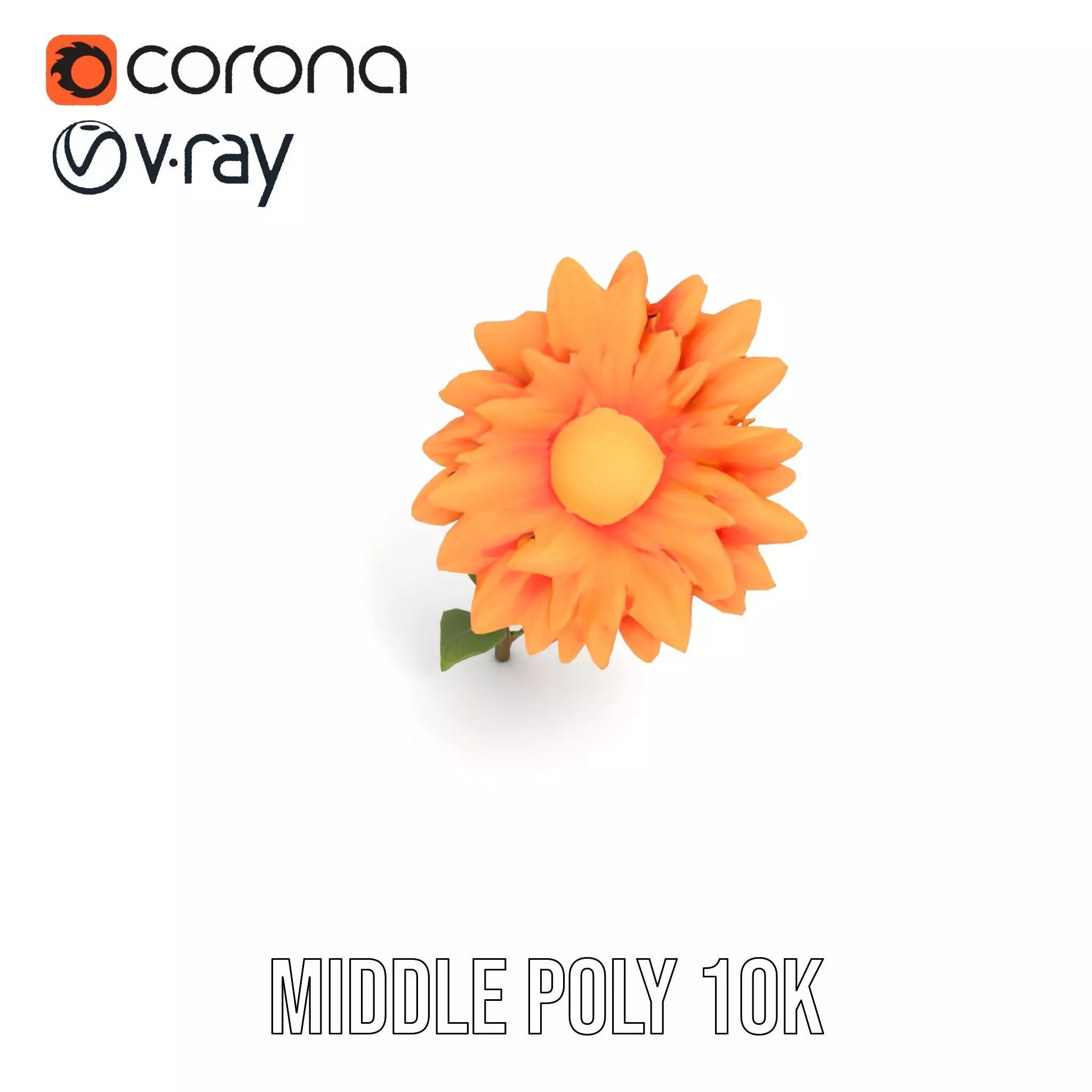 Sunny Dahlia model pack Low-poly 3D model_15
