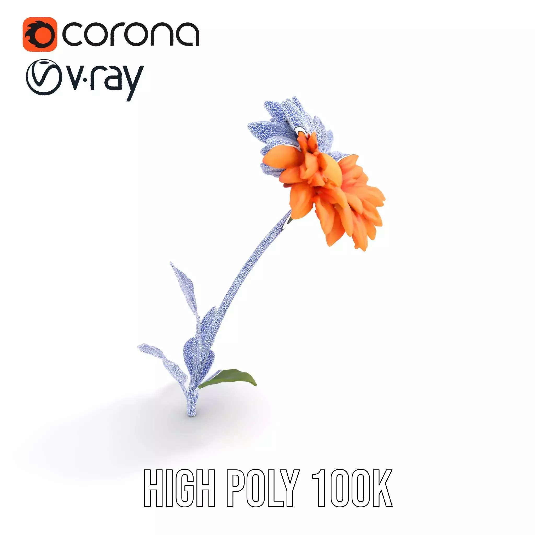 Sunny Dahlia model pack Low-poly 3D model_34