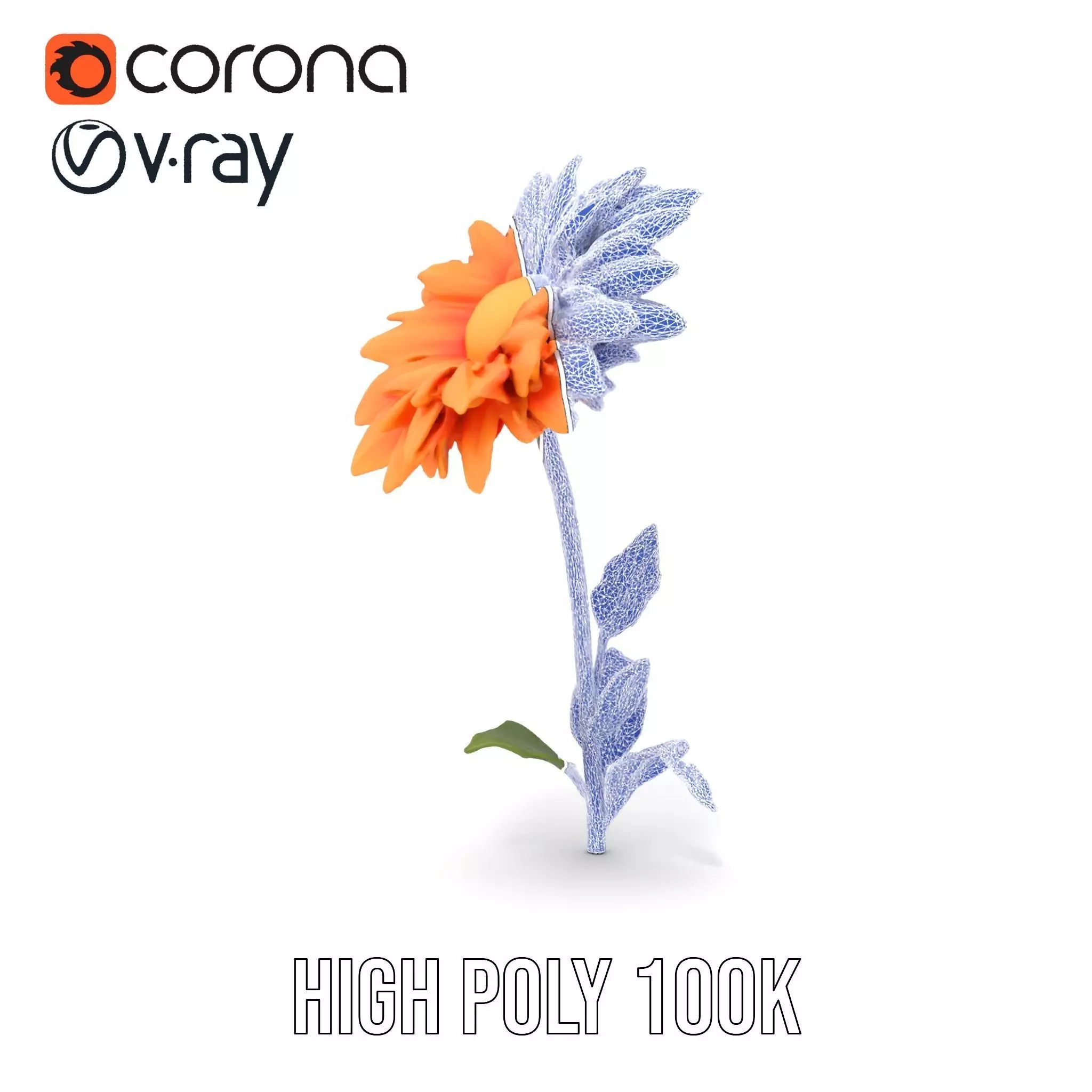 Sunny Dahlia model pack Low-poly 3D model_33