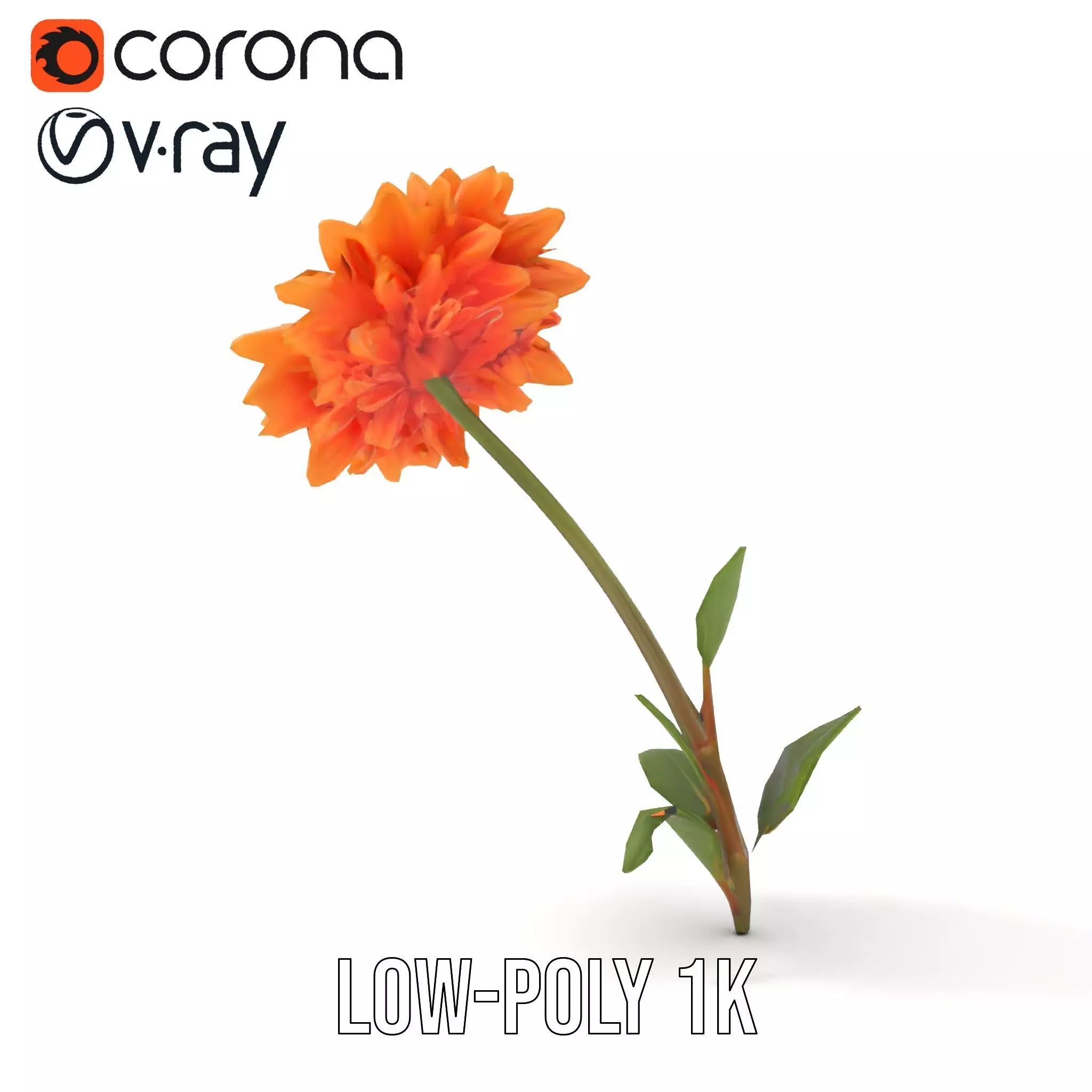 Sunny Dahlia model pack Low-poly 3D model_25