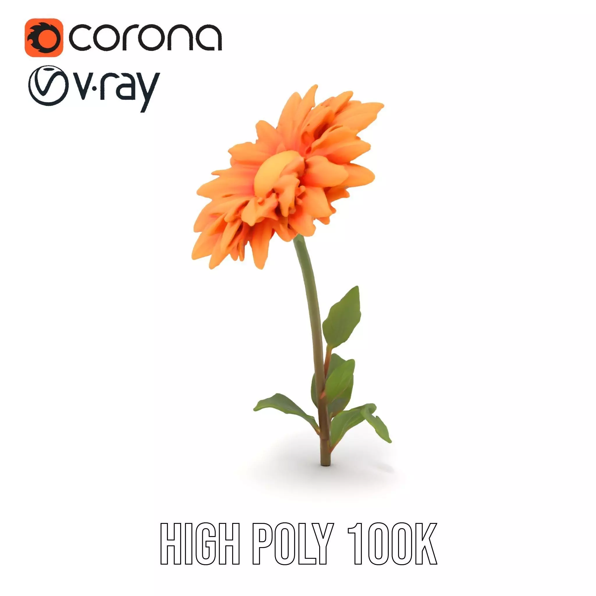 Sunny Dahlia model pack Low-poly 3D model_26