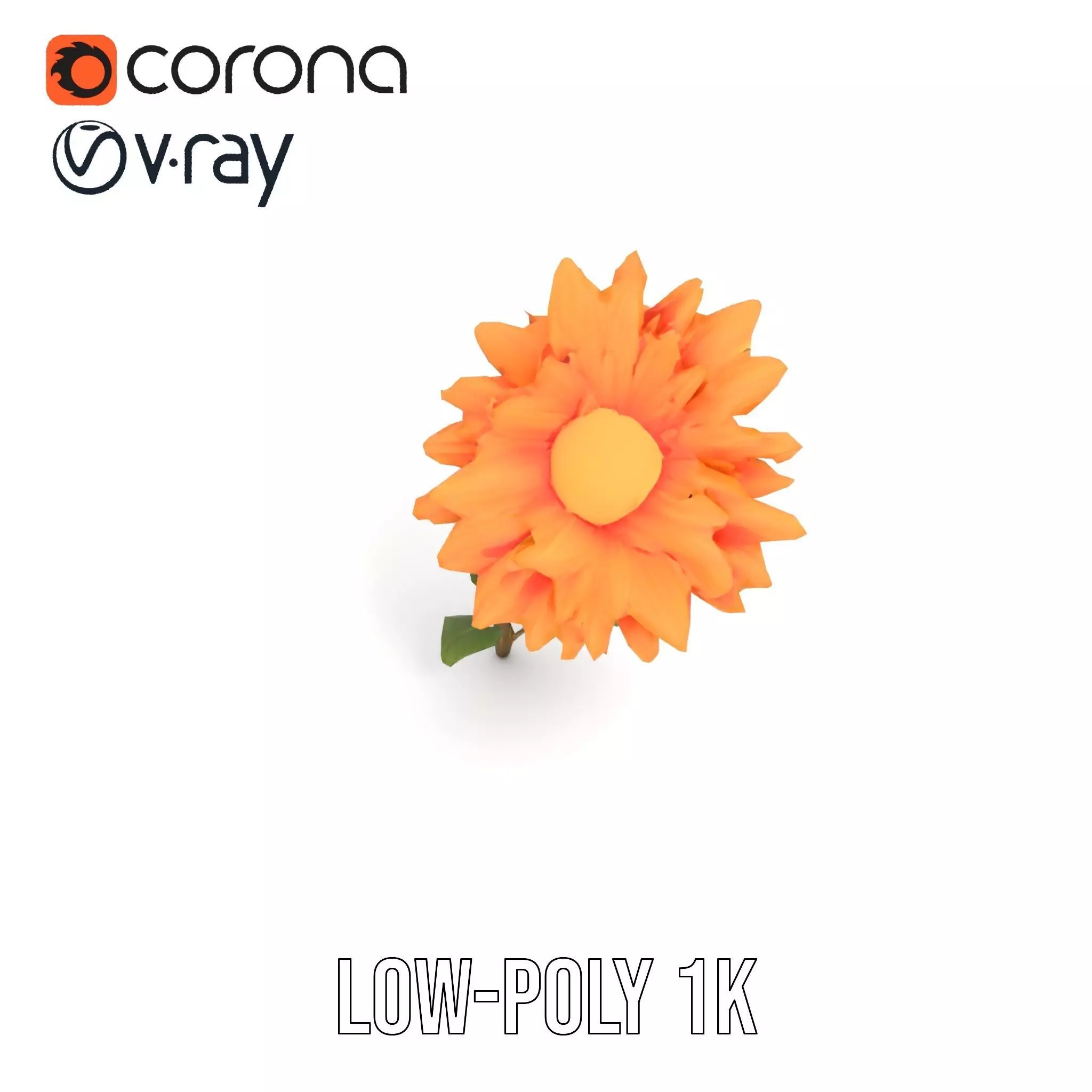 Sunny Dahlia model pack Low-poly 3D model_22