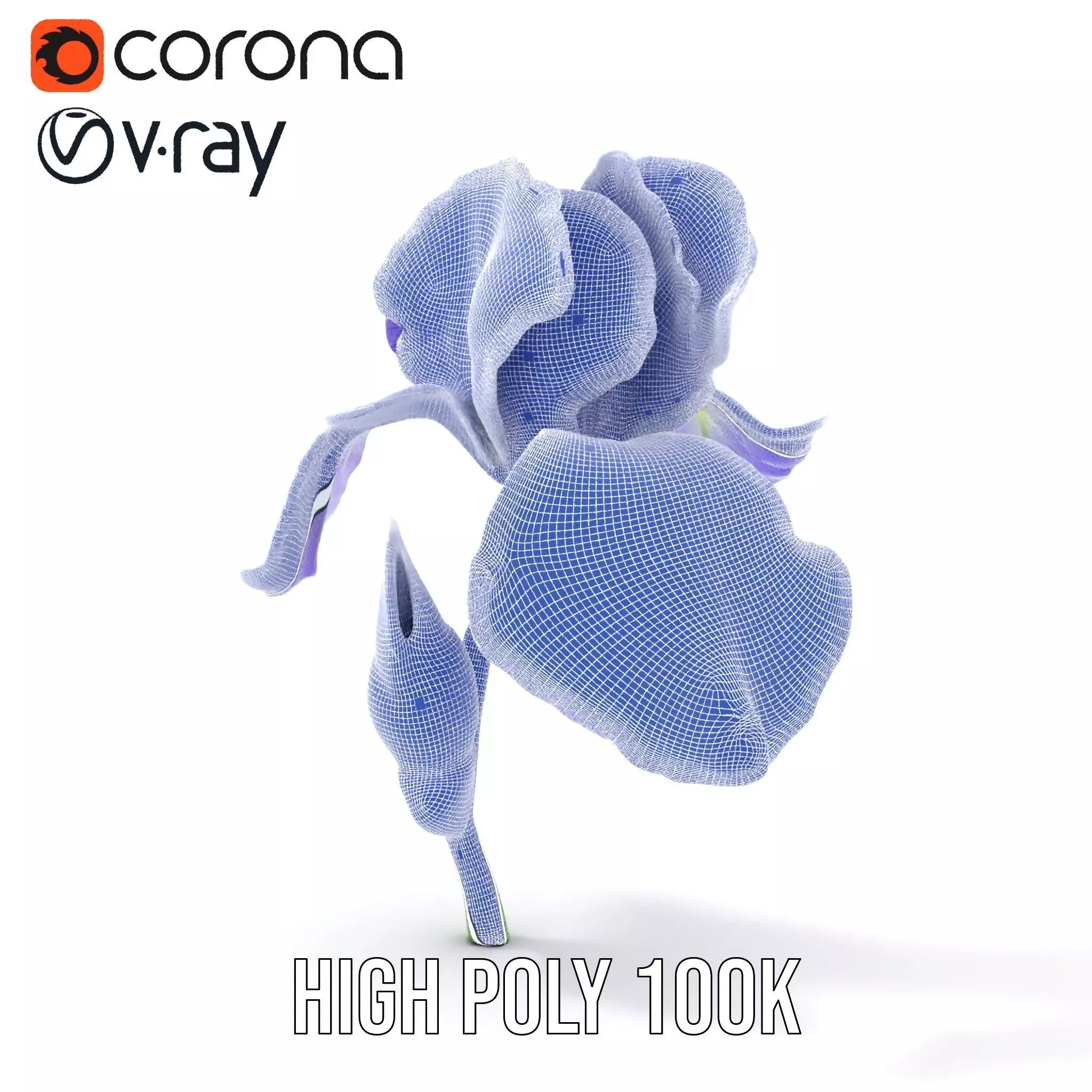 Vibrant Iris Flower model pack Low-poly 3D model_32