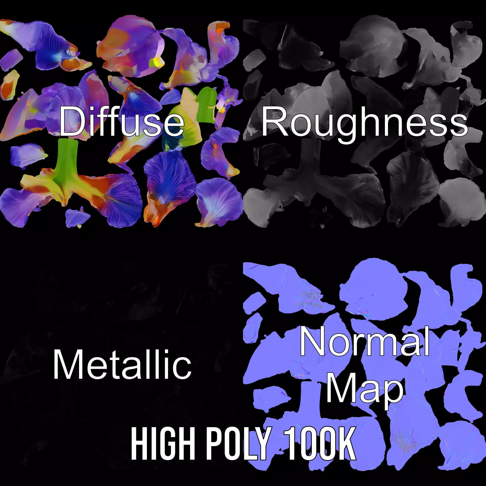 Vibrant Iris Flower model pack Low-poly 3D model_3