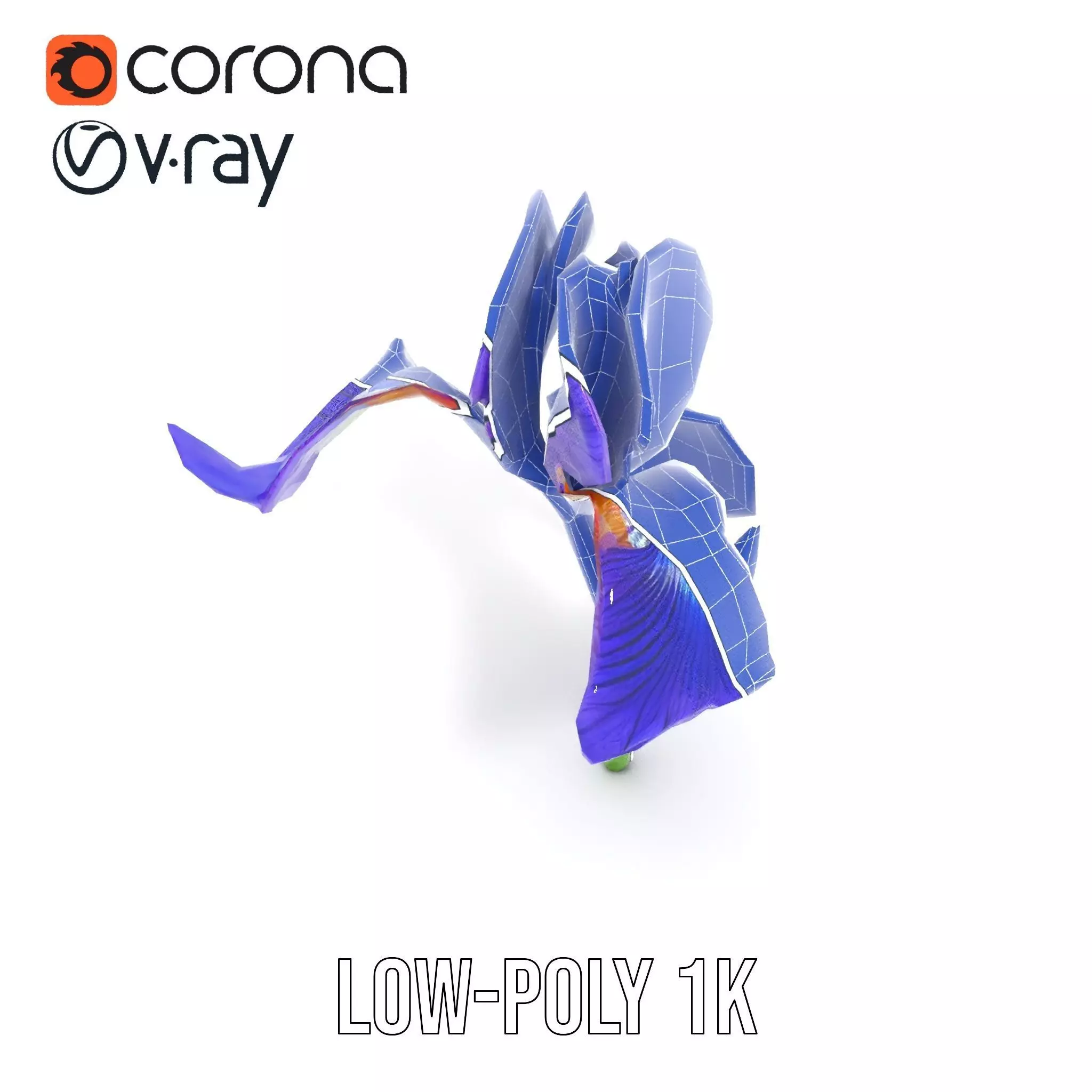 Vibrant Iris Flower model pack Low-poly 3D model_28