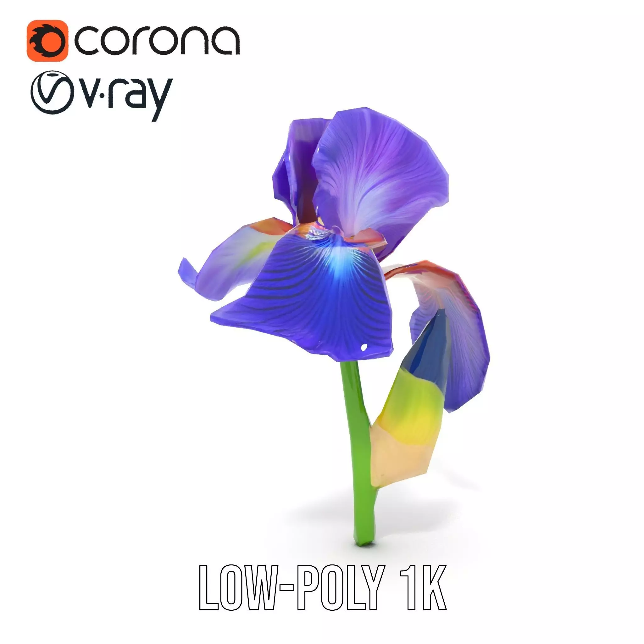 Vibrant Iris Flower model pack Low-poly 3D model_12
