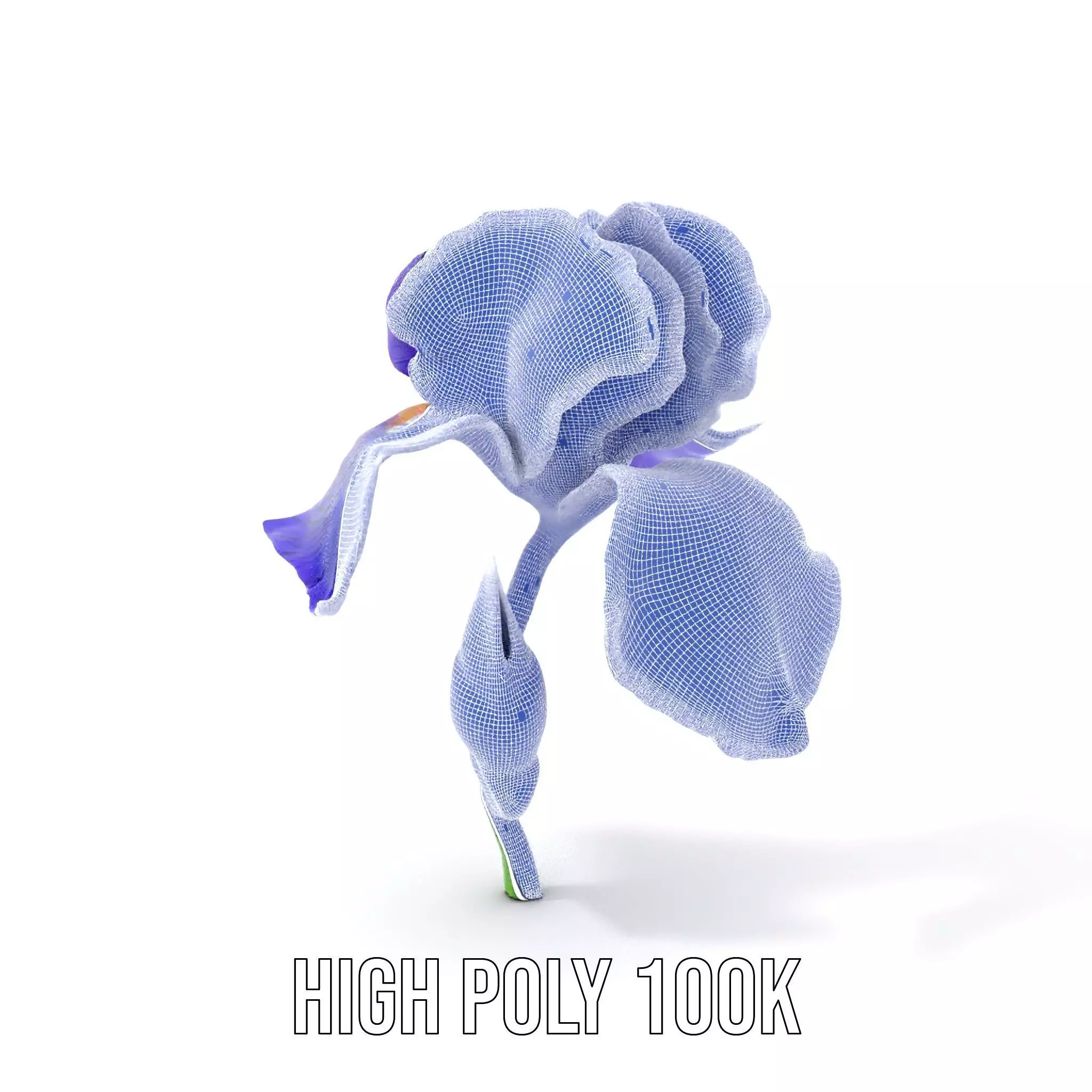 Vibrant Iris Flower model pack Low-poly 3D model_4