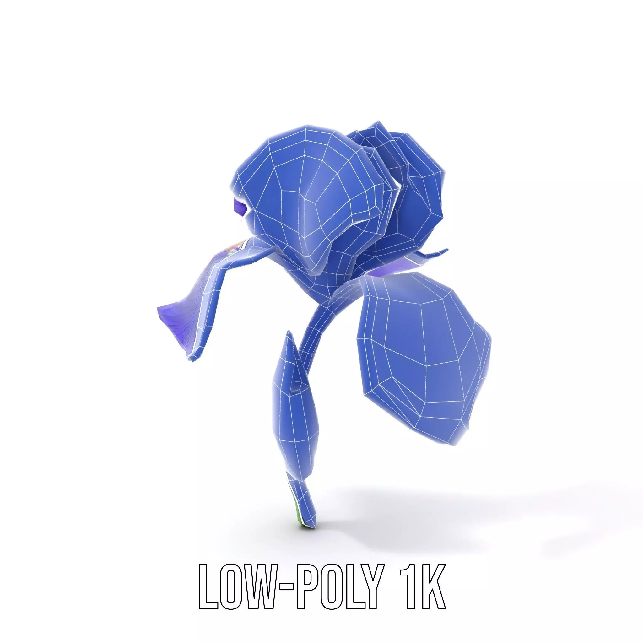 Vibrant Iris Flower model pack Low-poly 3D model_9