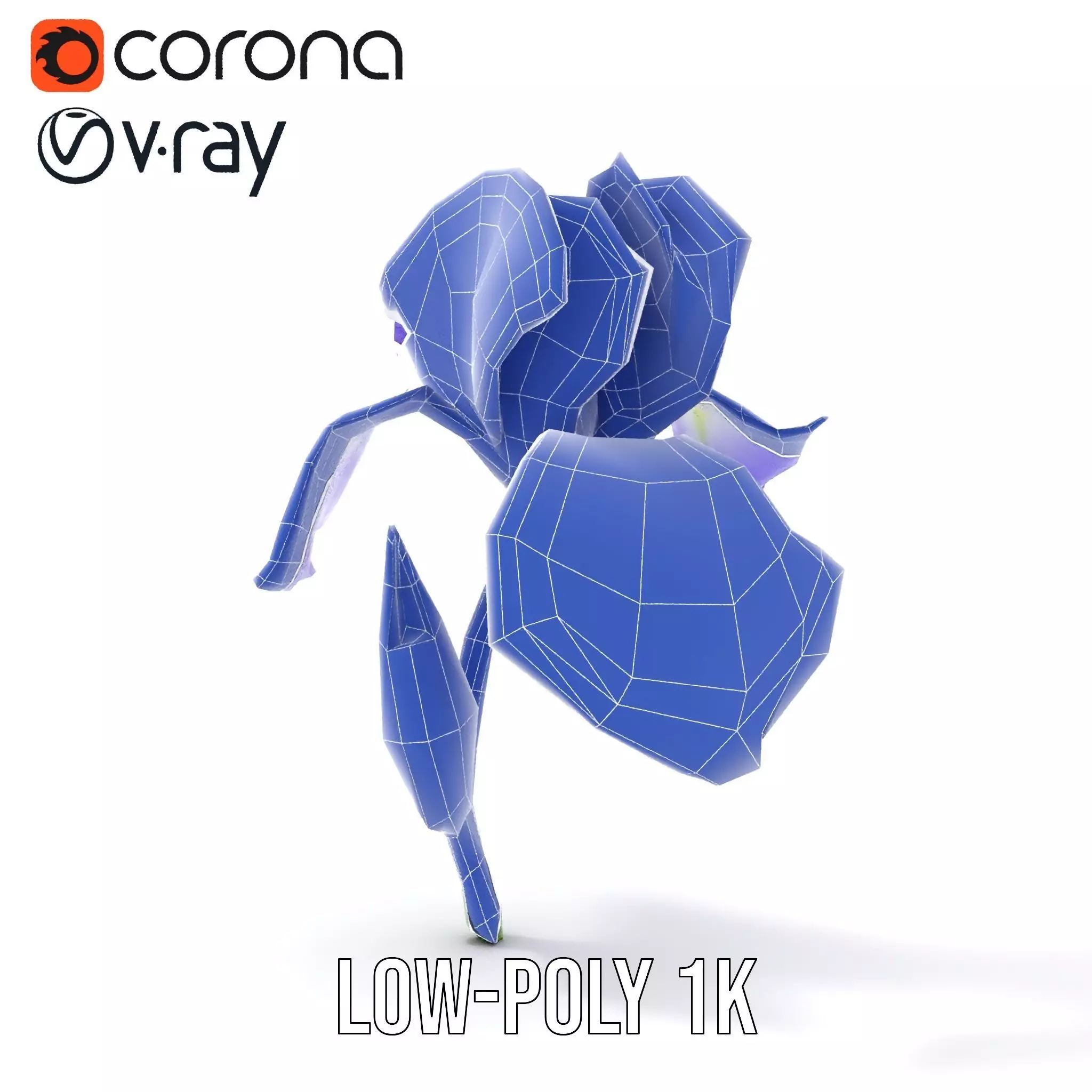 Vibrant Iris Flower model pack Low-poly 3D model_22