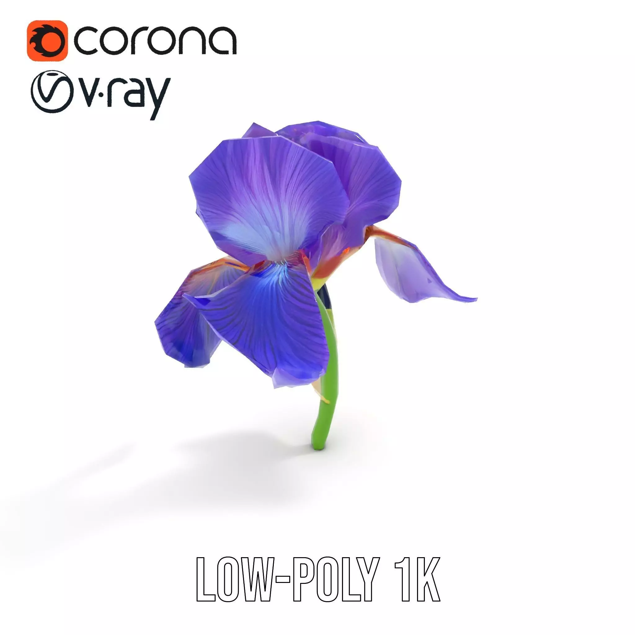 Vibrant Iris Flower model pack Low-poly 3D model_14