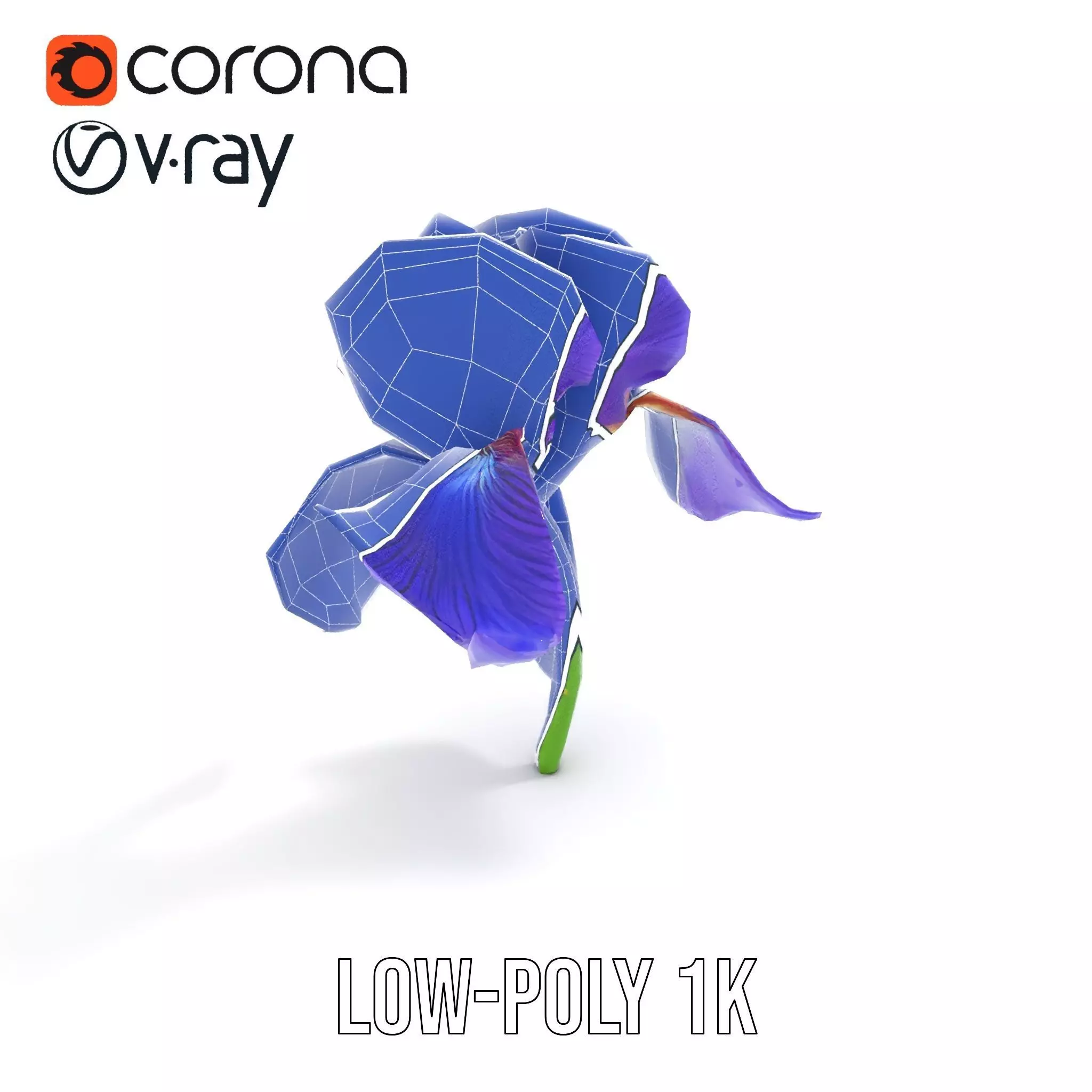 Vibrant Iris Flower model pack Low-poly 3D model_20